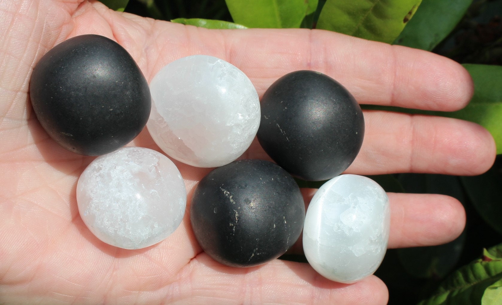 Shungite Selenite Polished Crystal Nuggets, EMF Protection, Purification, Cleansing. Two of each. Black and White, Yin and Yang!