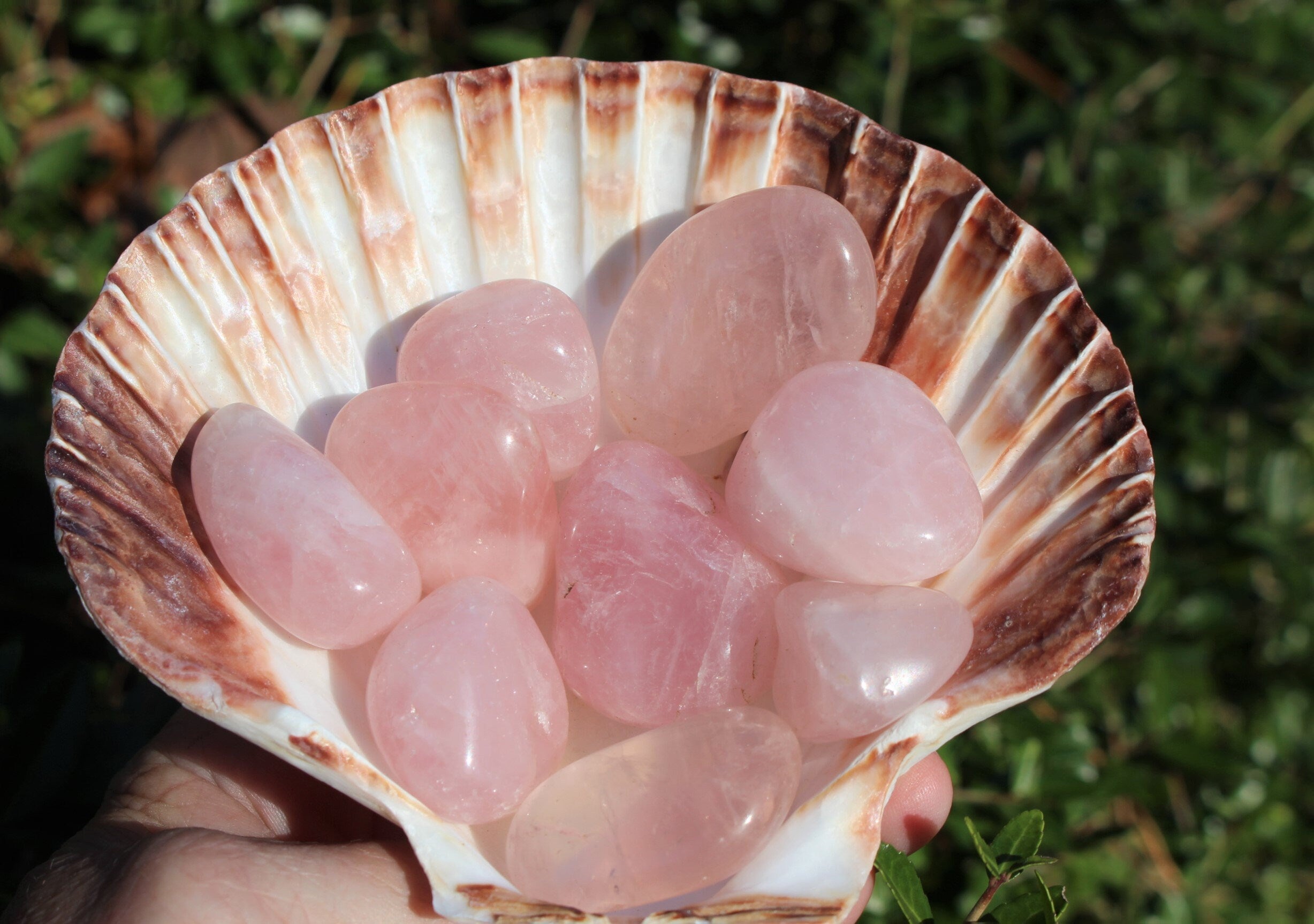 3 Large Rose Quartz Tumbles, Quality Pink Pebbles, Polished Rose Quartz Crystal Gemstone, Jewelry, Home Décor, Love Altar.