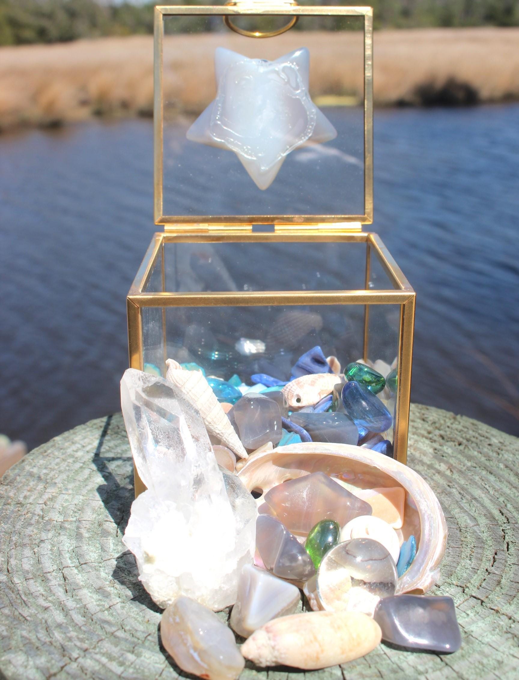 Mermaid Treasure Trove Quartz & Shell Crystal Terrarium Box, Star Agate, Crystals, Abalone Shell, Nature Relaxation Gift, Beachy Vibe Décor