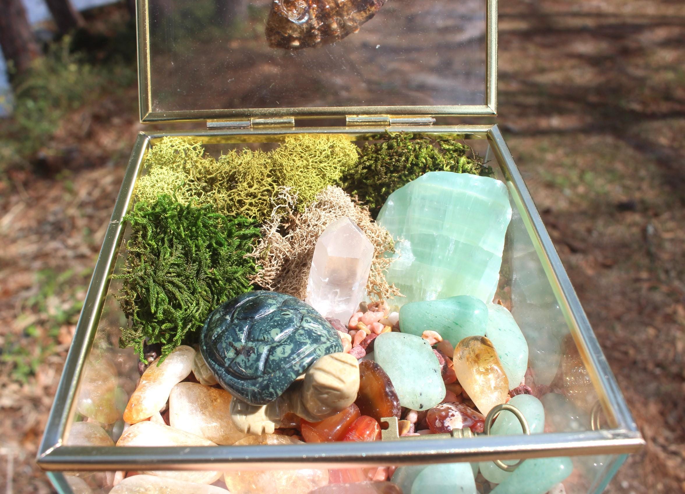 Crystal Garden Terrarium Treasure Box, Nature Relaxation Gift, Fossilized Ammonite, Turtle, Quartz Crystal, filled w/ gemstones.