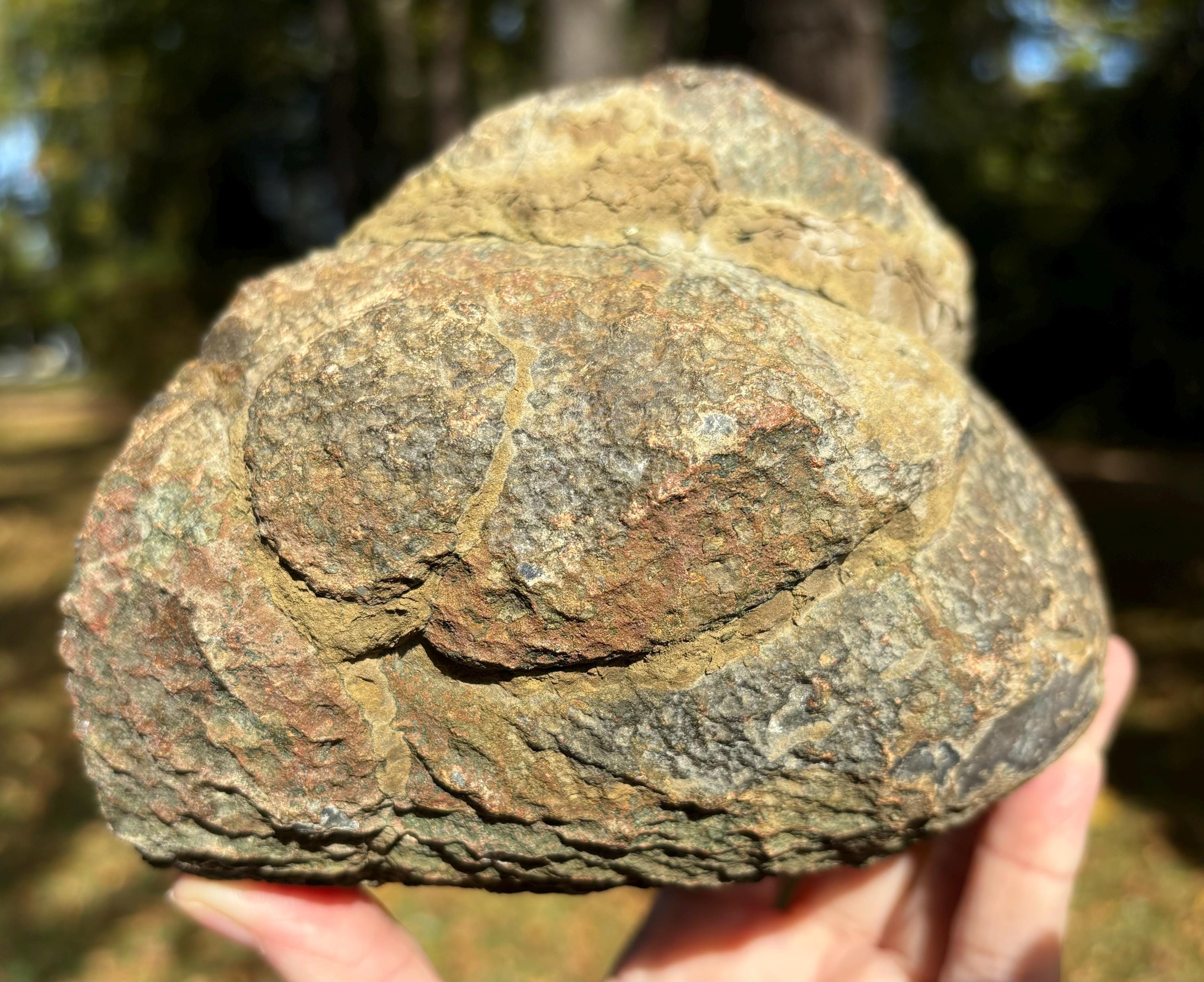 Amethyst Geode Hollow Crystal Cave, Large Amethyst Rock Specimen, Gemstone Boho Home Office Decor, over 3lbs.