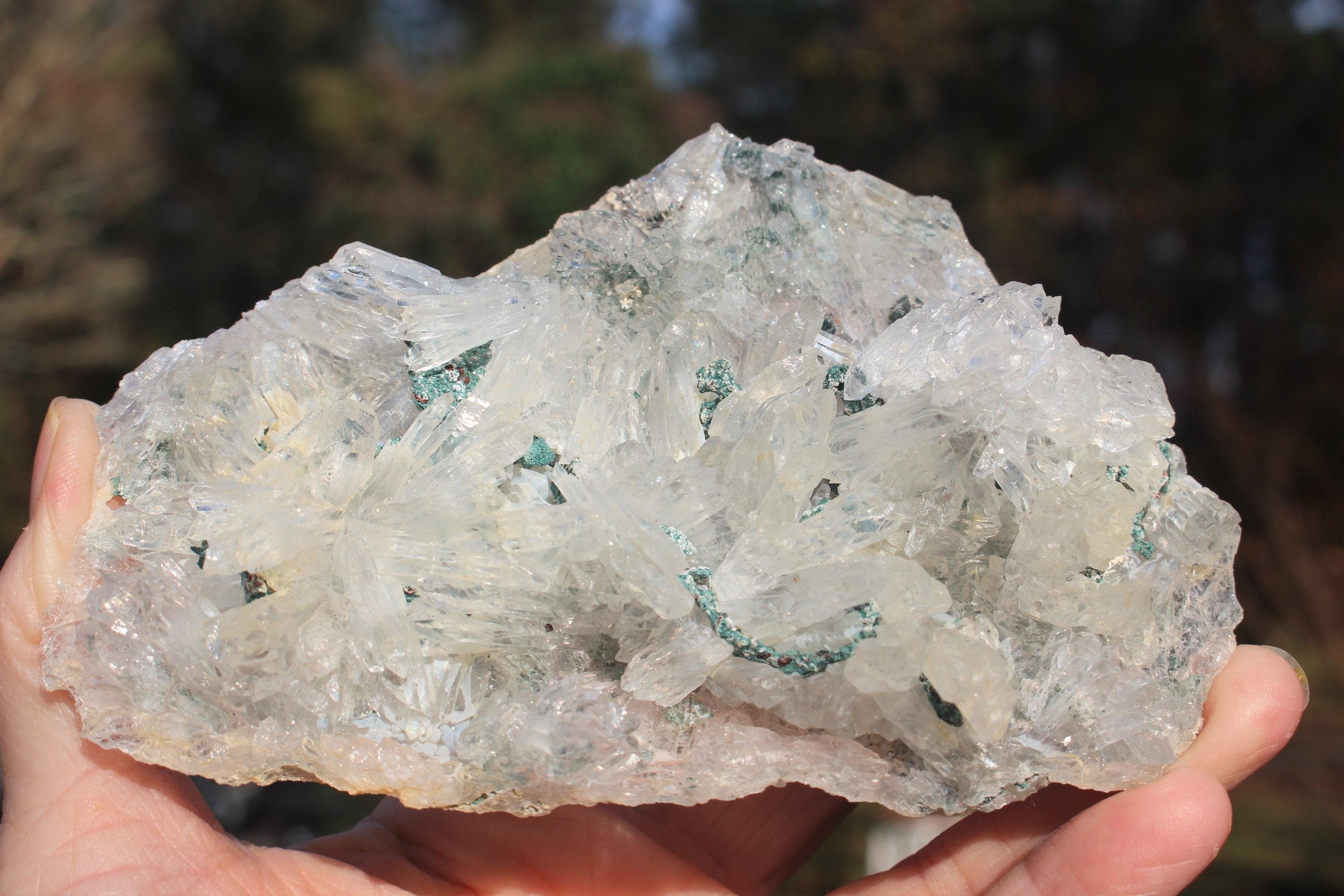 Rare Rose Amethyst Crystal Cluster- Large Raw Natural Gemstone W/ 100's of small Needle Quartz Points. Thin Matrix ,Exceptional Quality.