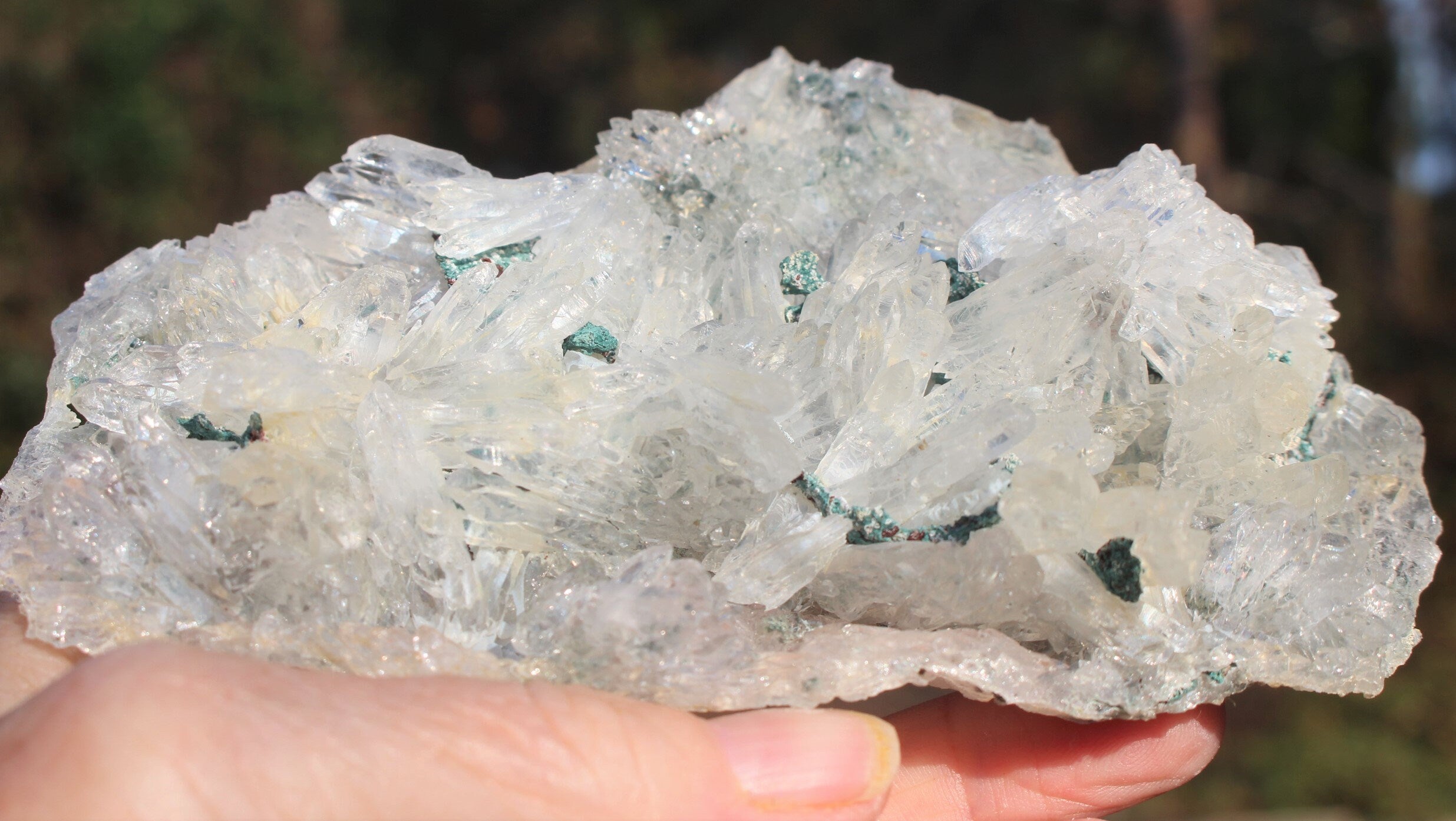 Rare Rose Amethyst Crystal Cluster- Large Raw Natural Gemstone W/ 100's of small Needle Quartz Points. Thin Matrix ,Exceptional Quality.