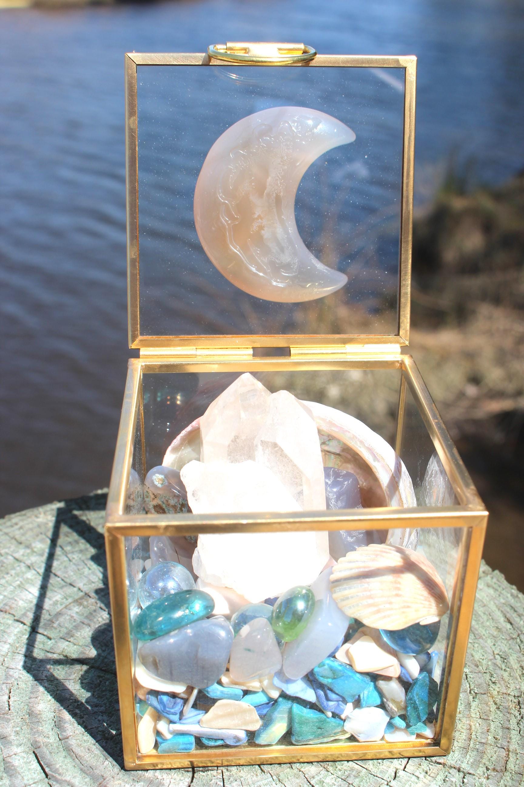 Quartz & Shells Crystal Terrarium Box, Agate Carved Moon, Handmade, Double Term Crystal, Abalone Shells, Glass Trinkets, Magical Beachy Nature Gift.