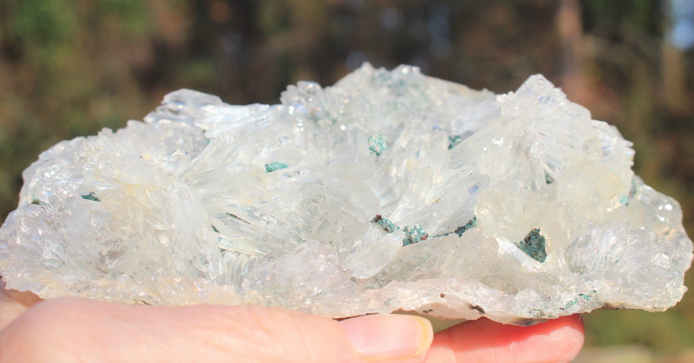 Rare Rose Amethyst Crystal Cluster- Large Raw Natural Gemstone W/ 100's of small Needle Quartz Points. Thin Matrix ,Exceptional Quality.