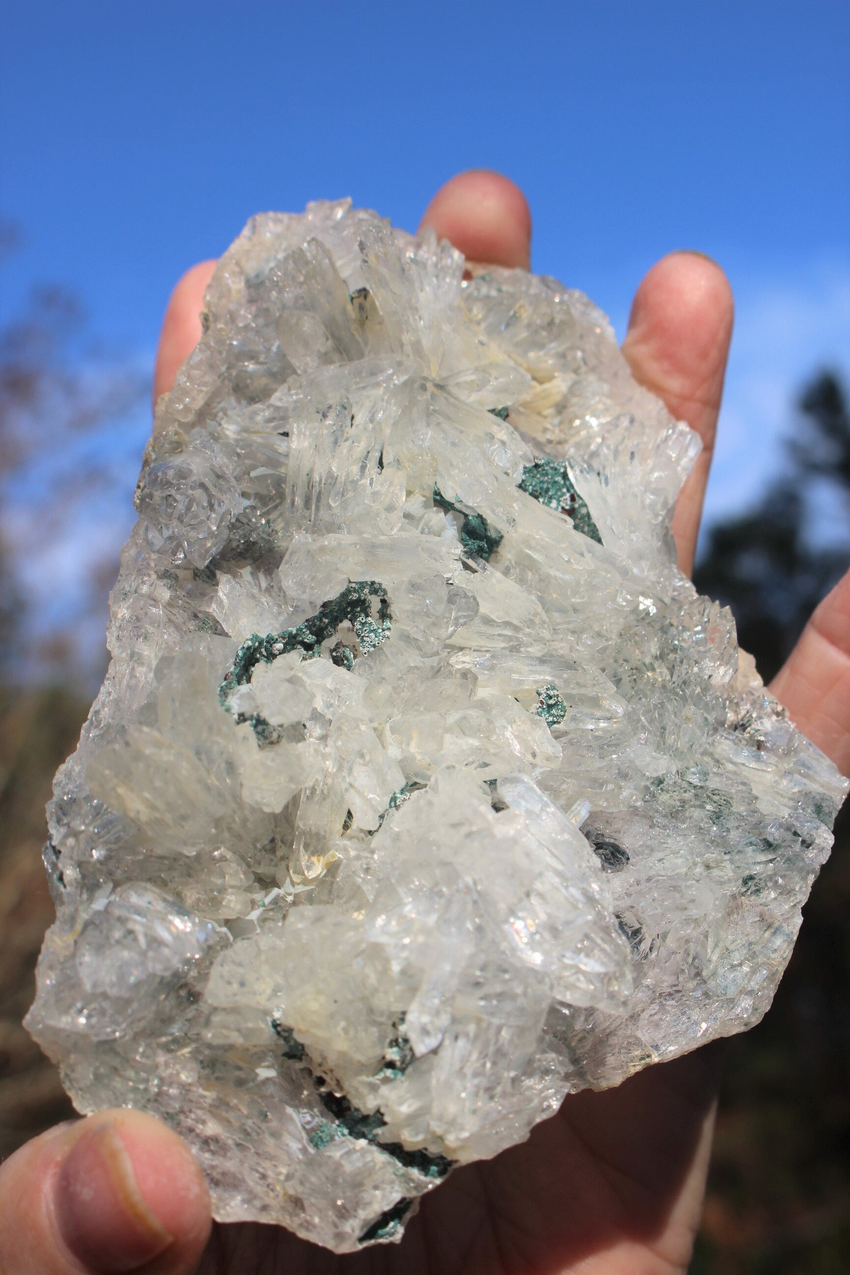 Rare Rose Amethyst Crystal Cluster- Large Raw Natural Gemstone W/ 100's of small Needle Quartz Points. Thin Matrix ,Exceptional Quality.