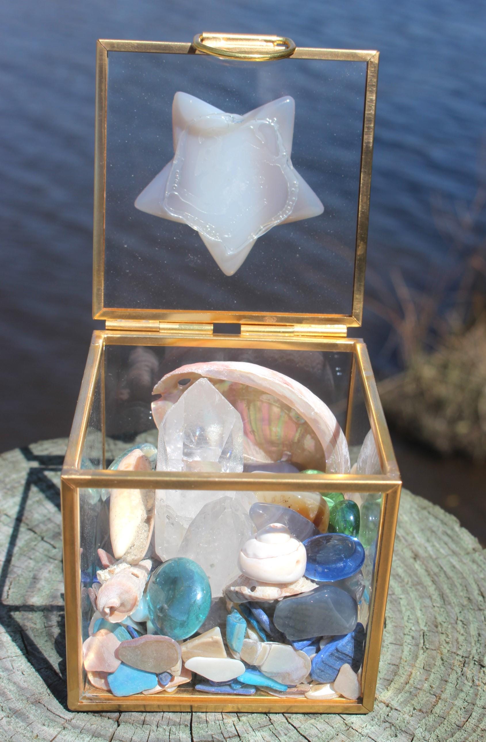 Mermaid Treasure Trove Quartz & Shell Crystal Terrarium Box, Star Agate, Crystals, Abalone Shell, Nature Relaxation Gift, Beachy Vibe Décor