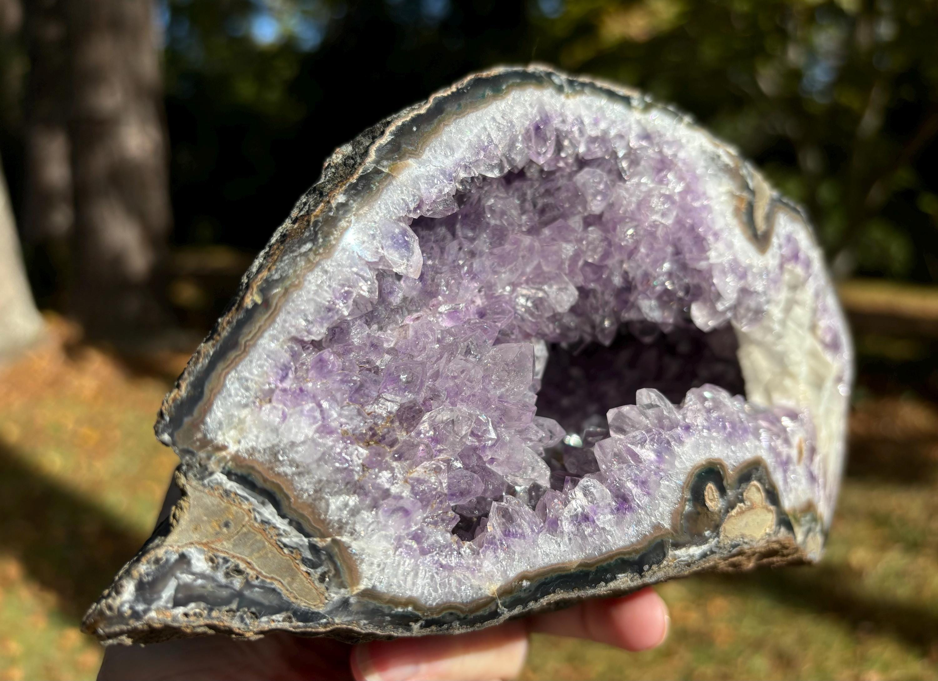 Amethyst Geode Hollow Crystal Cave, Large Amethyst Rock Specimen, Gemstone Boho Home Office Decor, over 3lbs.
