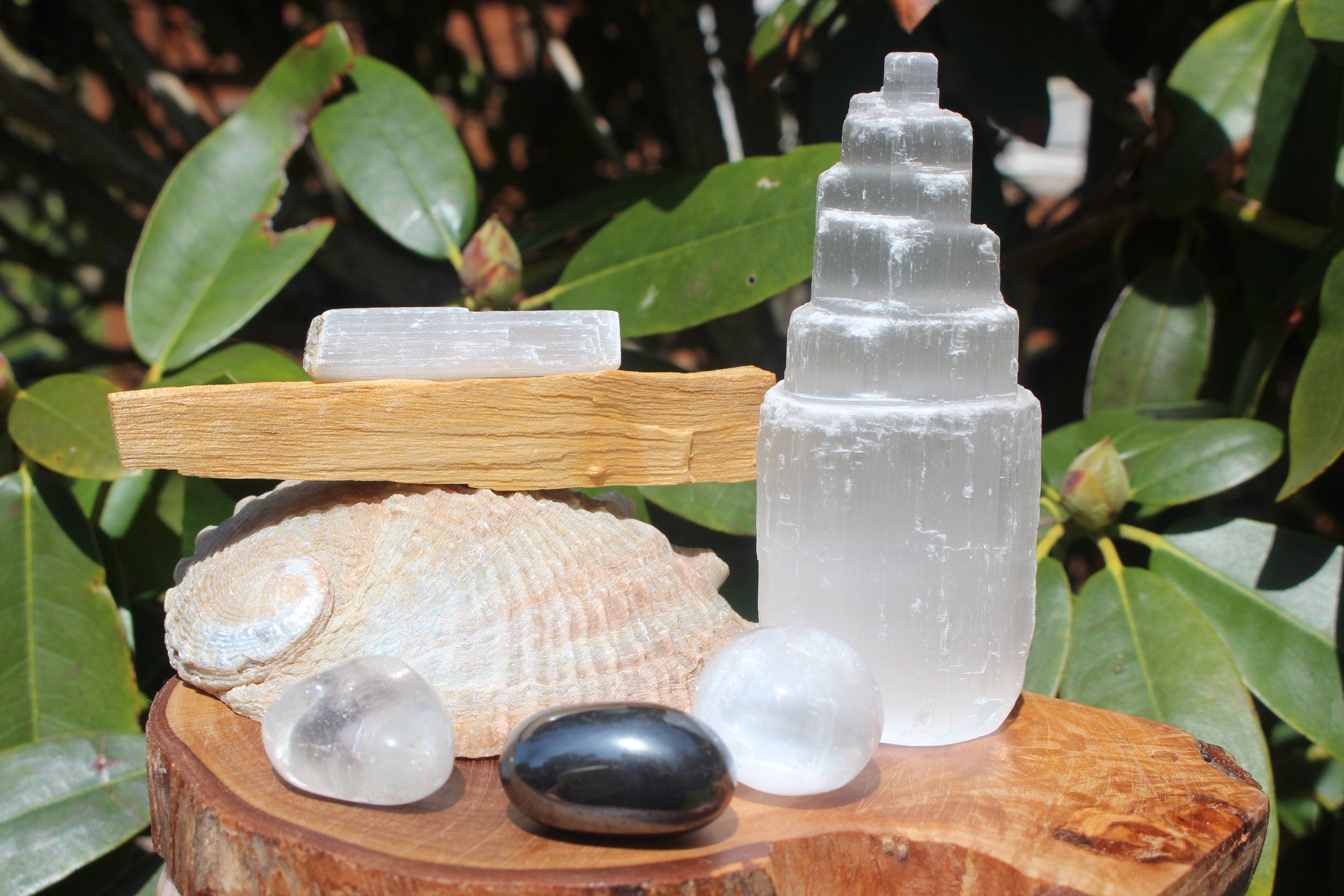 Crystal House Cleansing Bundle, Smudging - Purification, Rituals Altars, Meditation. Abalone Shell, PaoAlto Stick, Selenite Tower Special Buy.