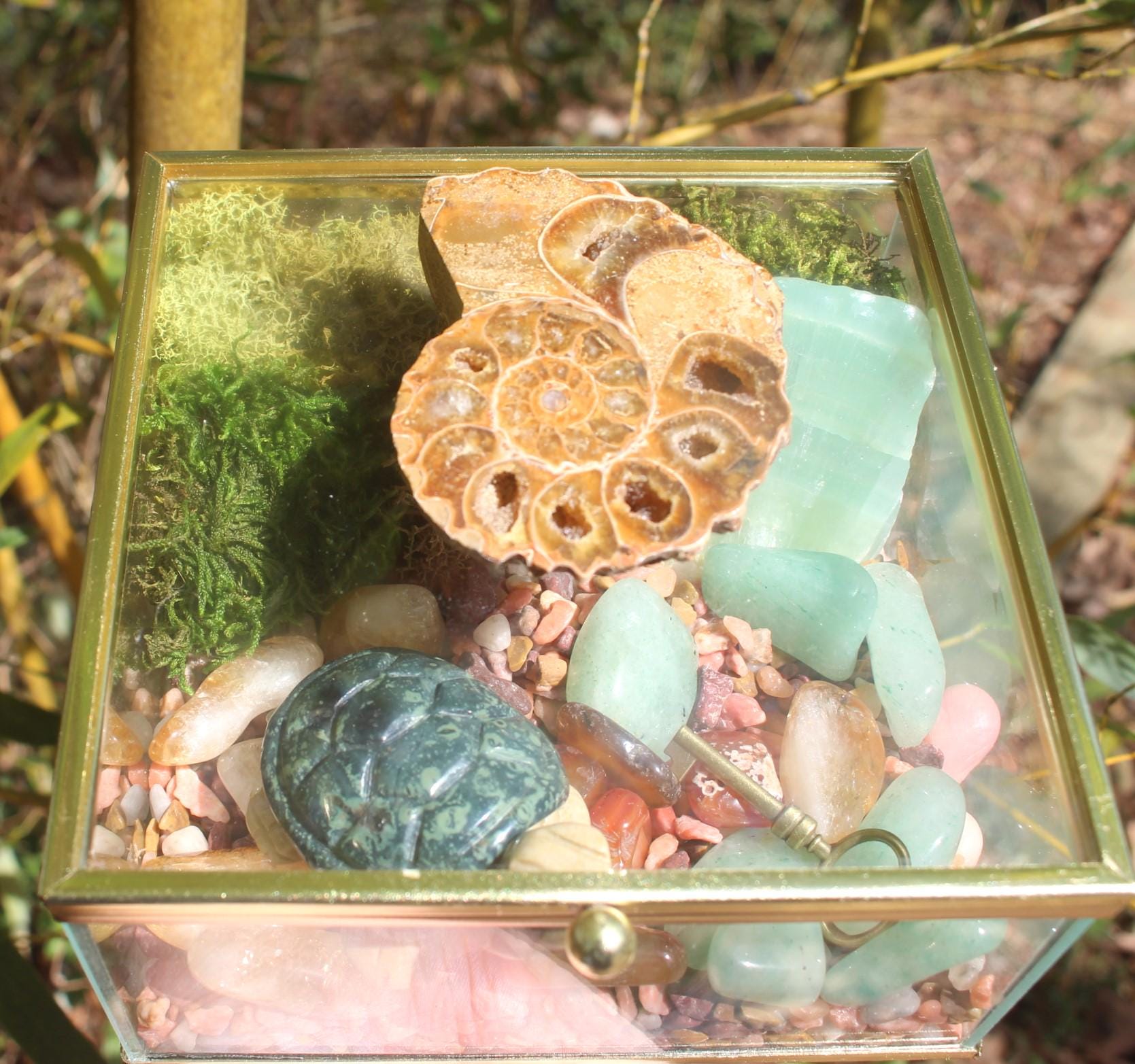 Crystal Garden Terrarium Treasure Box, Nature Relaxation Gift, Fossilized Ammonite, Turtle, Quartz Crystal, filled w/ gemstones.