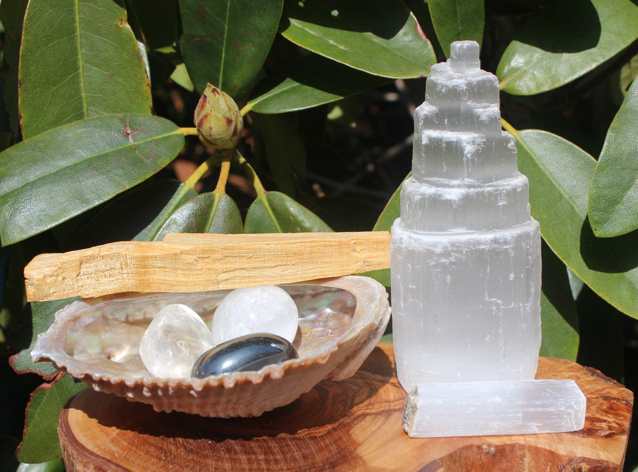 Crystal House Cleansing Bundle, Smudging - Purification, Rituals Altars, Meditation. Abalone Shell, PaoAlto Stick, Selenite Tower Special Buy.
