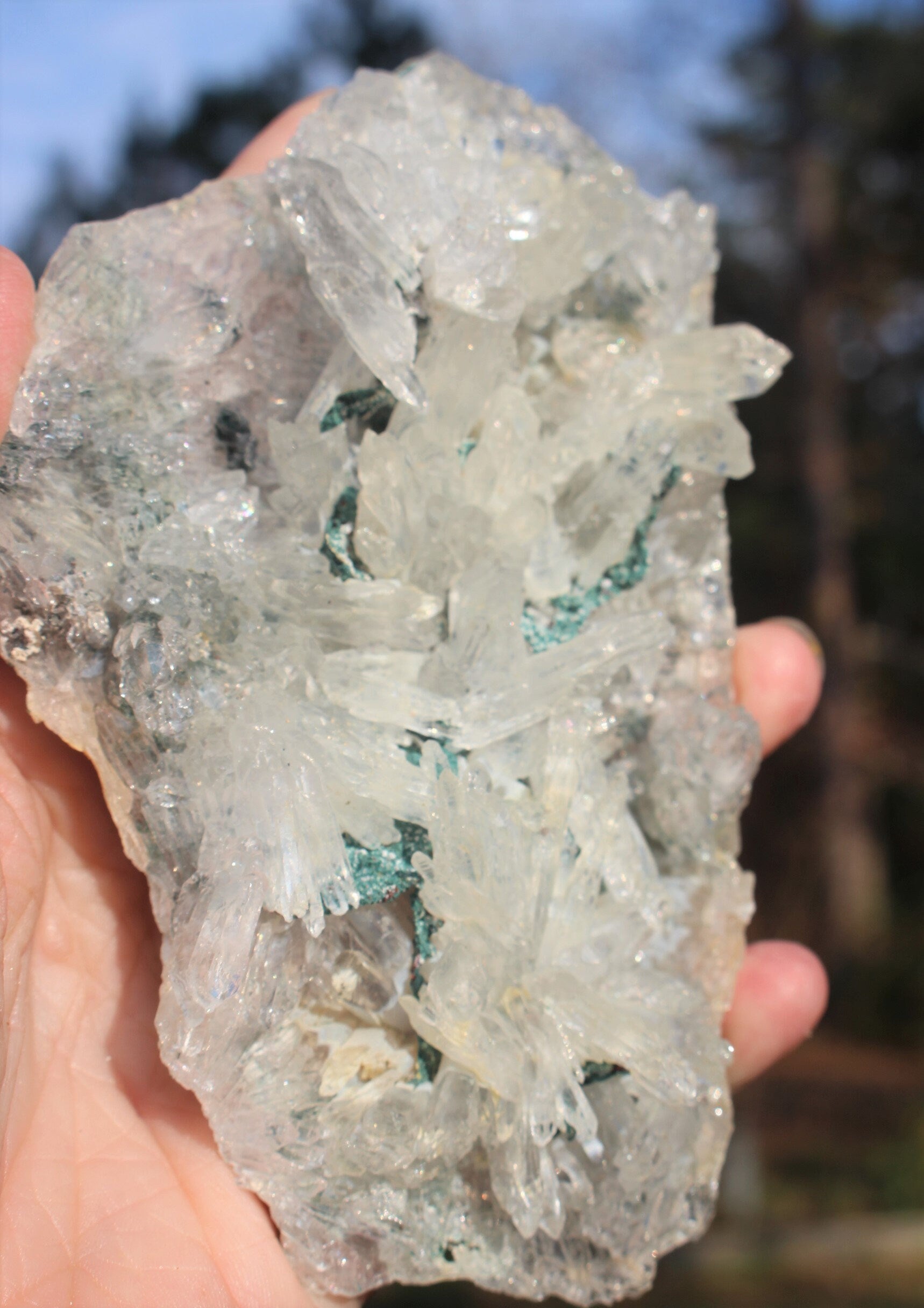 Rare Rose Amethyst Crystal Cluster- Large Raw Natural Gemstone W/ 100's of small Needle Quartz Points. Thin Matrix ,Exceptional Quality.