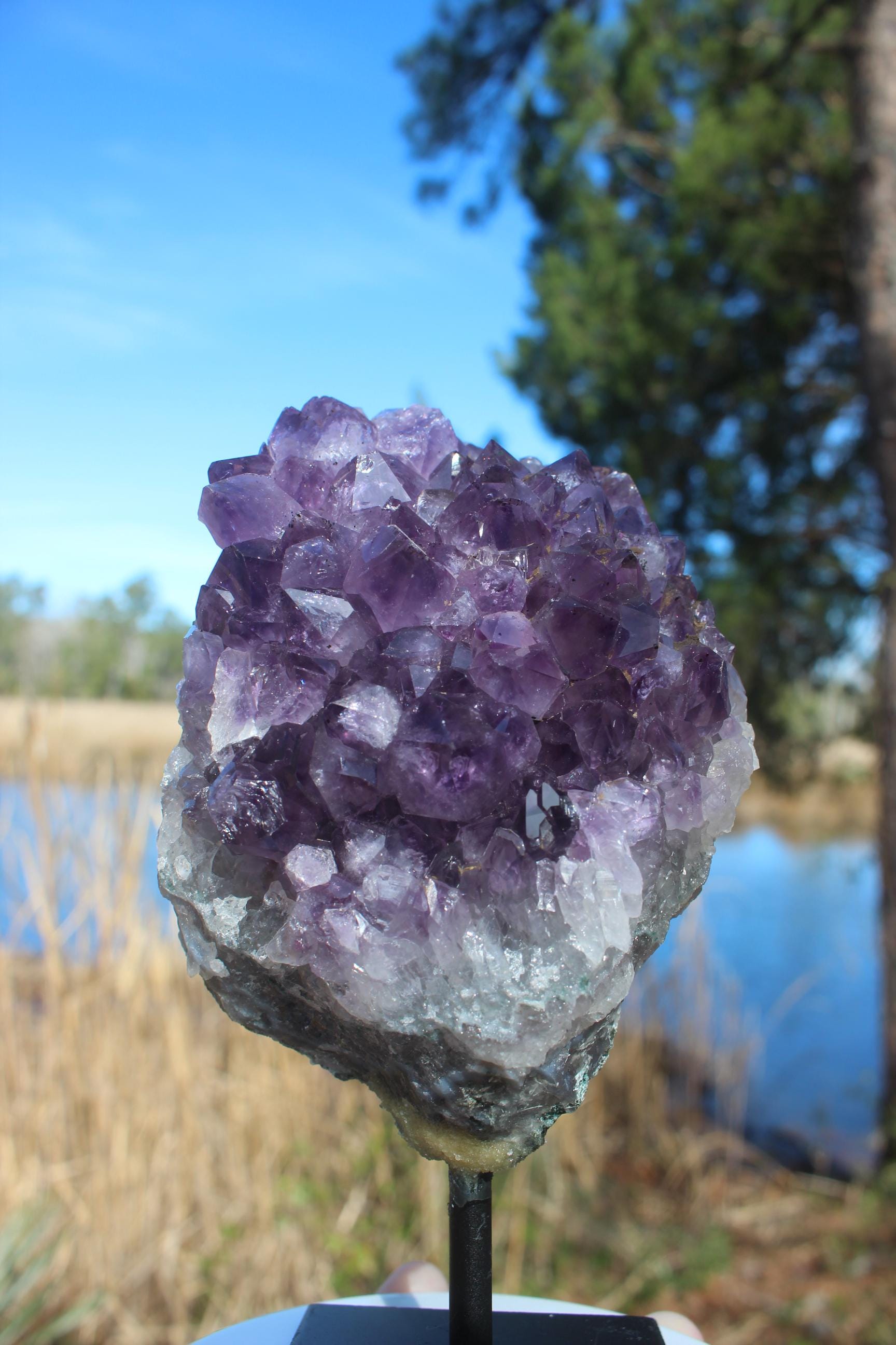 Amethyst Geode Crystal Cluster on Display Stand. Deep Purple Specimen. Large Amethyst Points, Meditation Room, Gemstone Display.