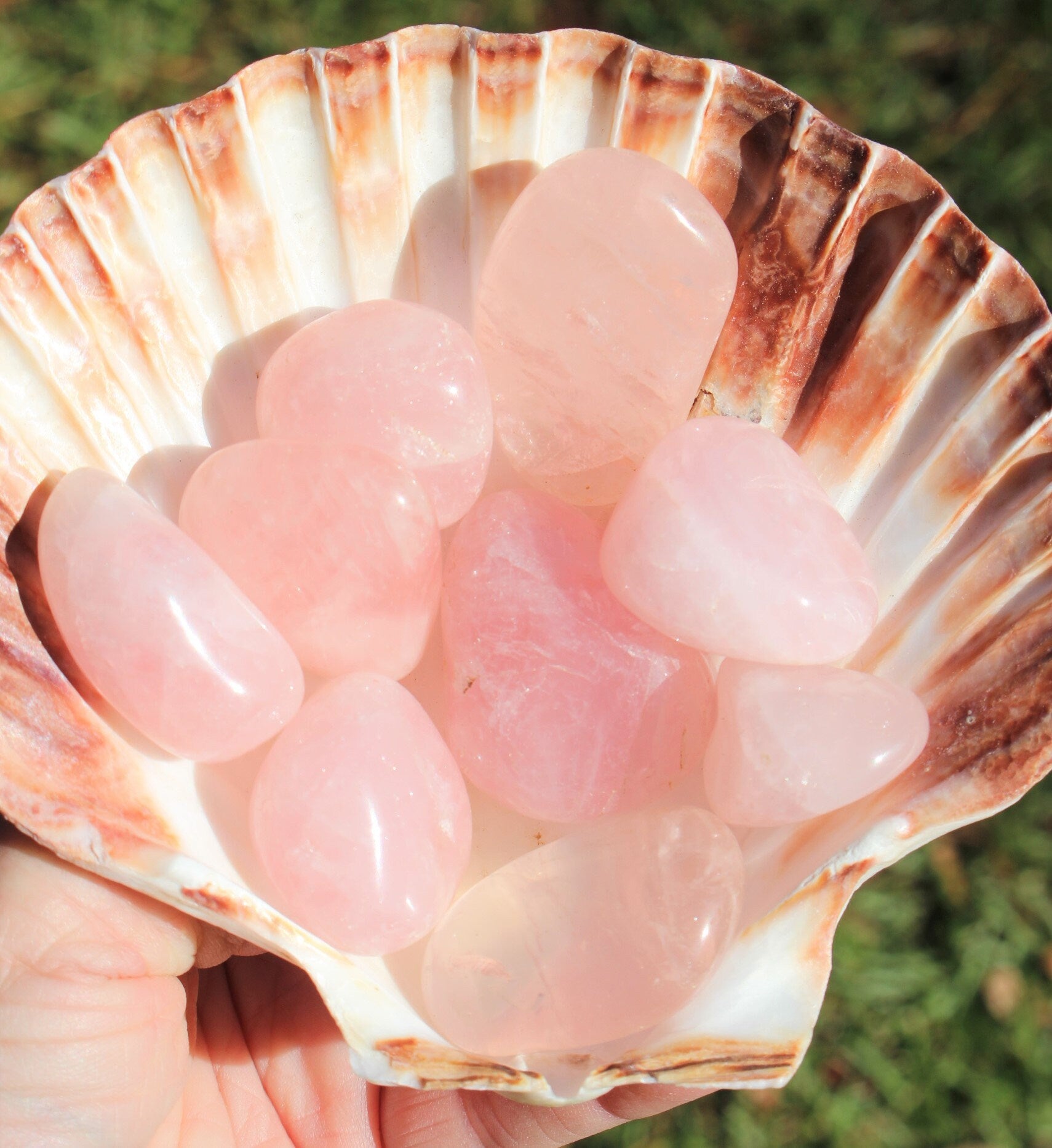 3 Large Rose Quartz Tumbles, Quality Pink Pebbles, Polished Rose Quartz Crystal Gemstone, Jewelry, Home Décor, Love Altar.