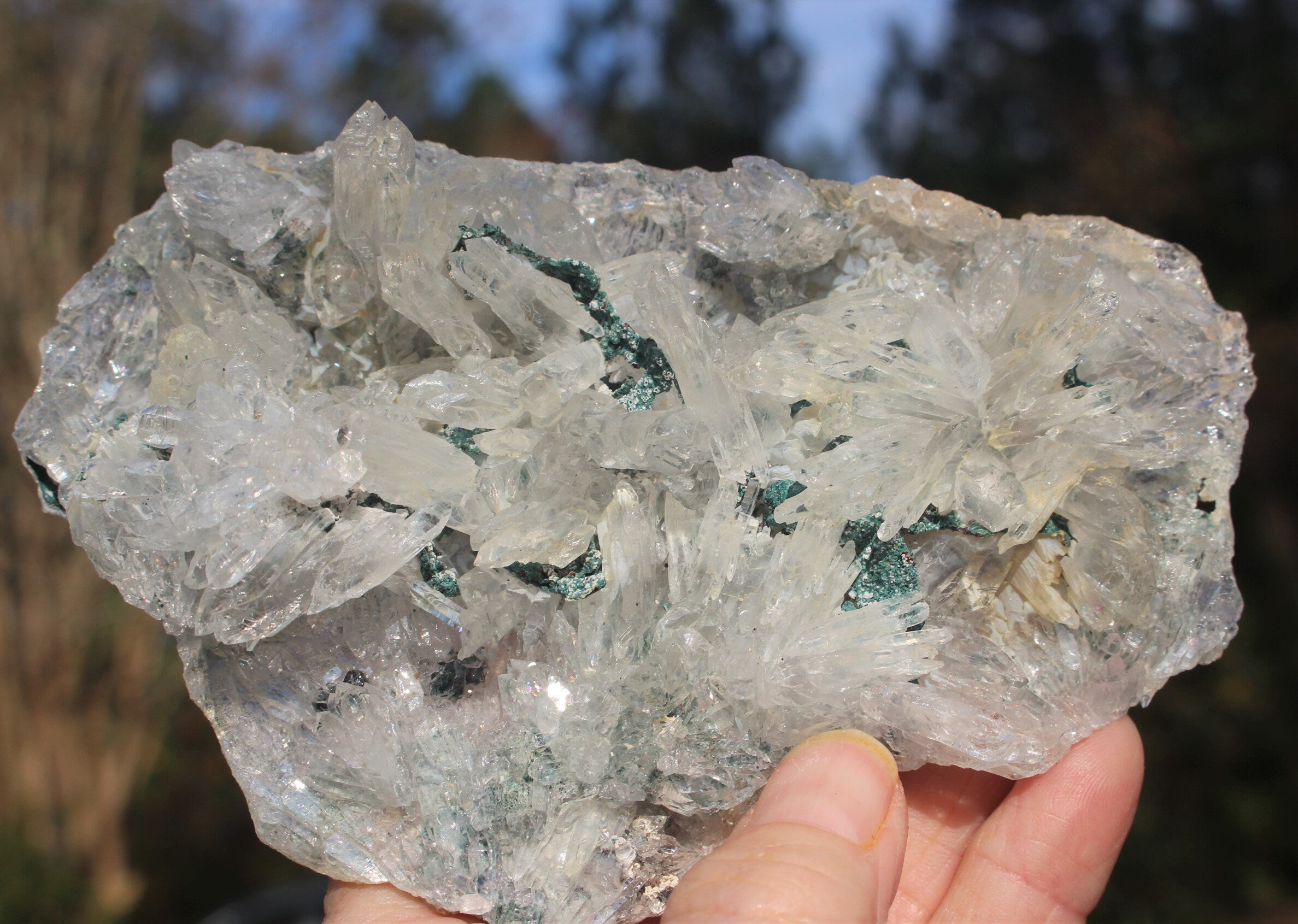 Rare Rose Amethyst Crystal Cluster- Large Raw Natural Gemstone W/ 100's of small Needle Quartz Points. Thin Matrix ,Exceptional Quality.
