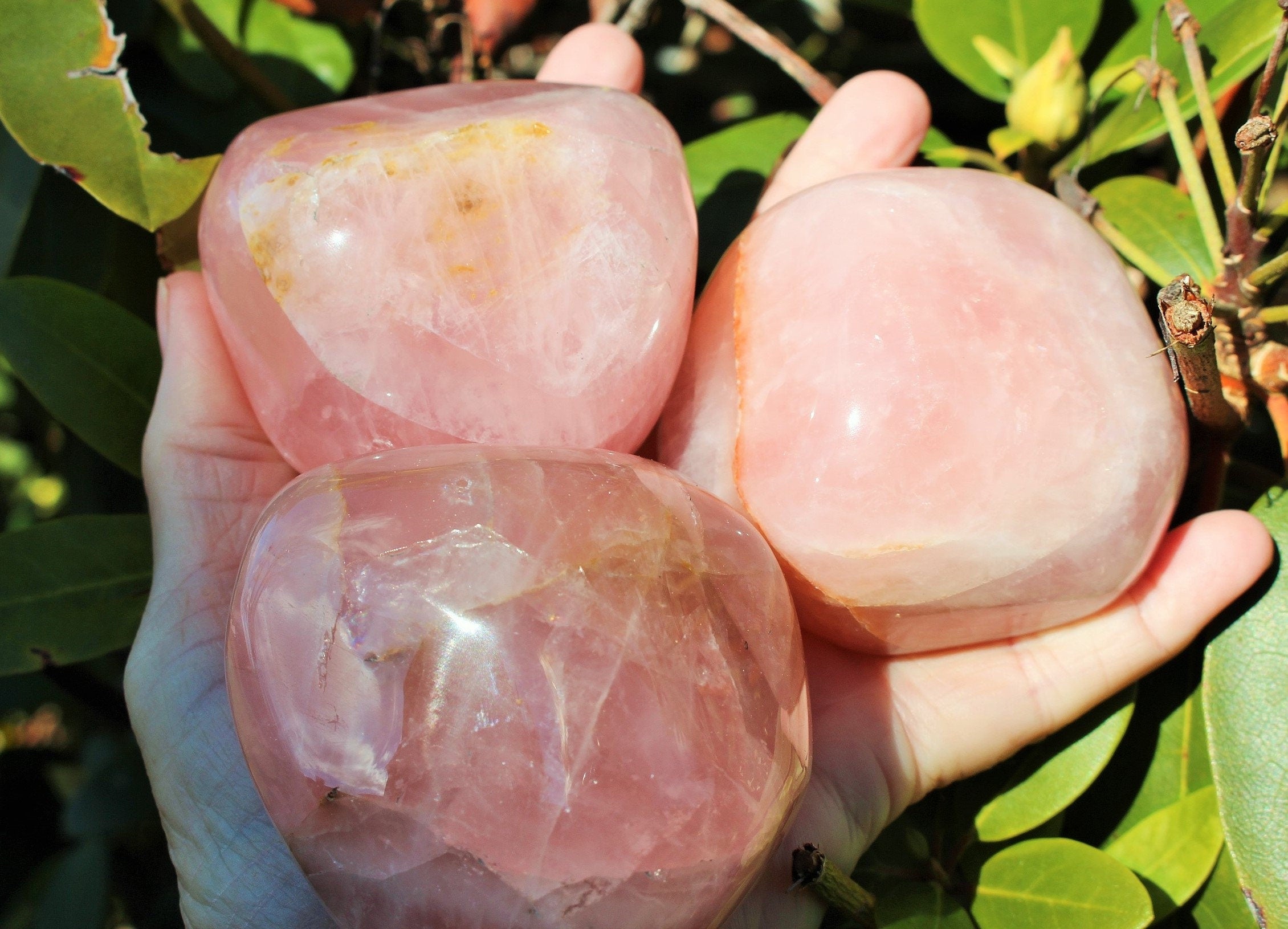 EX Large Polished Rose Quartz Free Form Gemstone, Gemmy Pink Mineral Specimens, Huge Palm Stone, Therapy Stone, Paperweight!