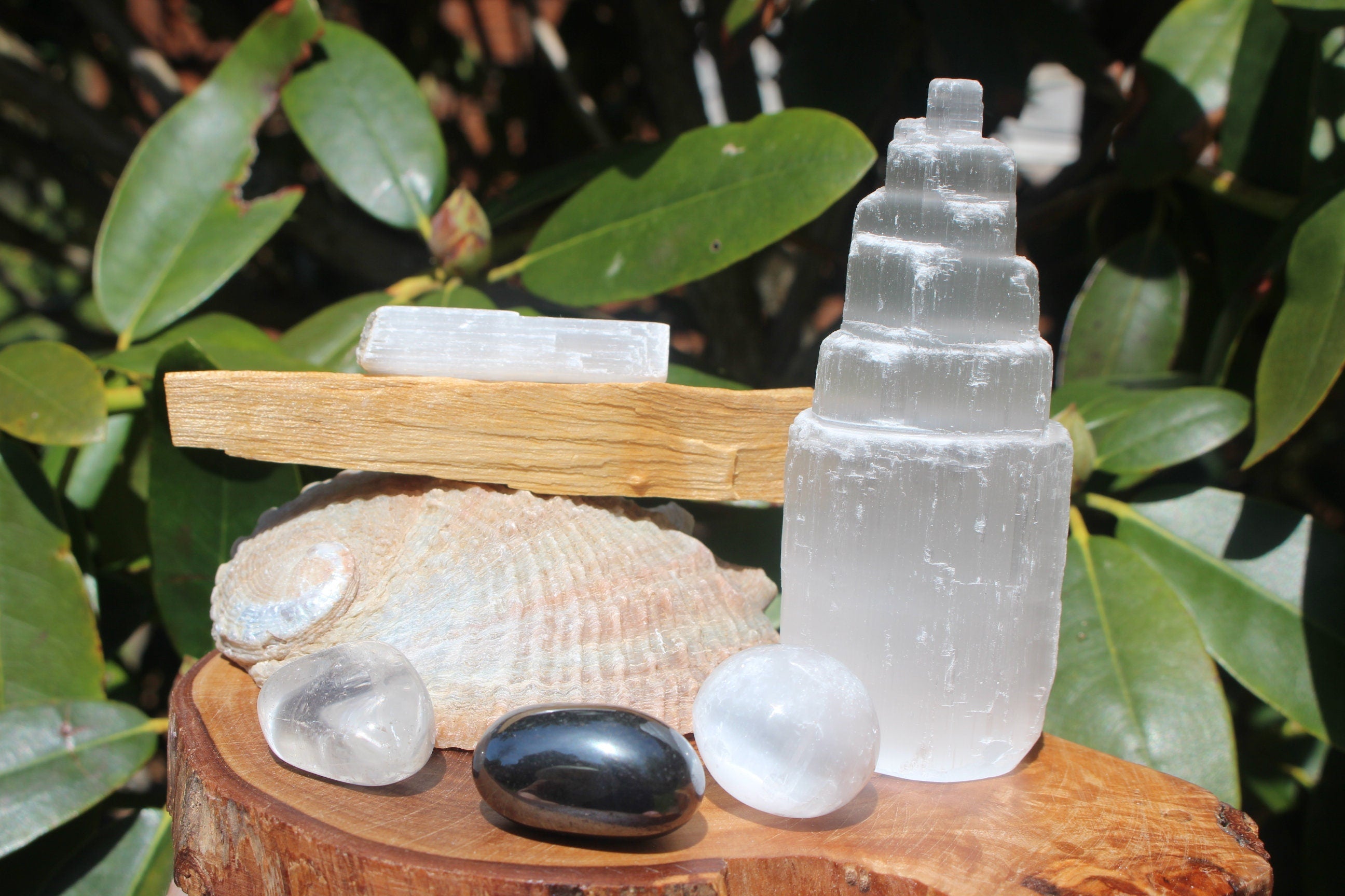 Crystal House Cleansing Bundle, Smudging - Purification, Rituals Altars, Meditation. Abalone Shell, PaoAlto Stick, Selenite Tower Special Buy.