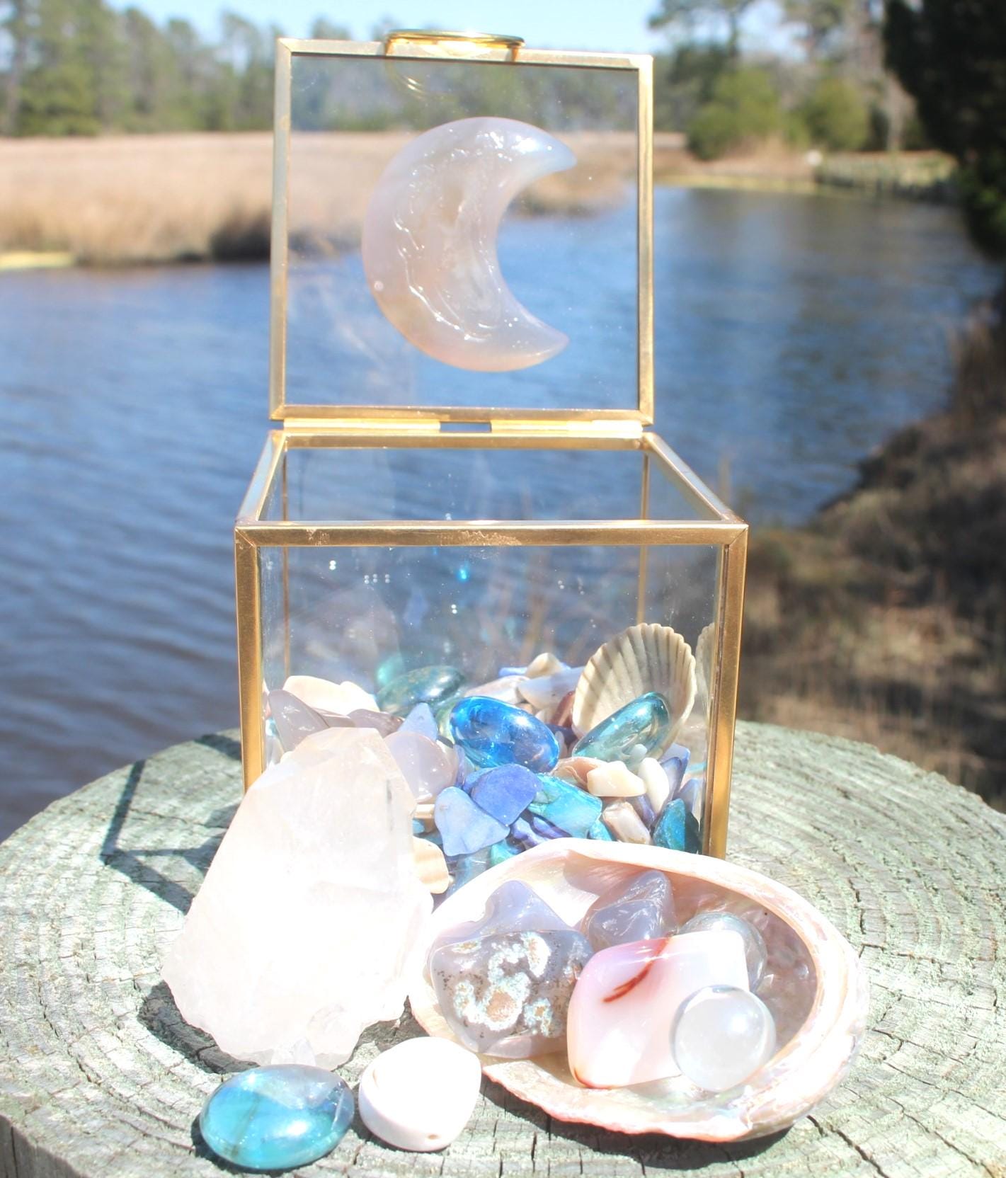 Quartz & Shells Crystal Terrarium Box, Agate Carved Moon, Handmade, Double Term Crystal, Abalone Shells, Glass Trinkets, Magical Beachy Nature Gift.