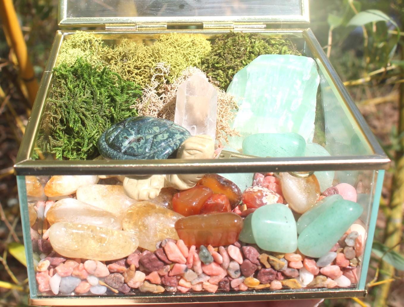 Crystal Garden Terrarium Treasure Box, Nature Relaxation Gift, Fossilized Ammonite, Turtle, Quartz Crystal, filled w/ gemstones.