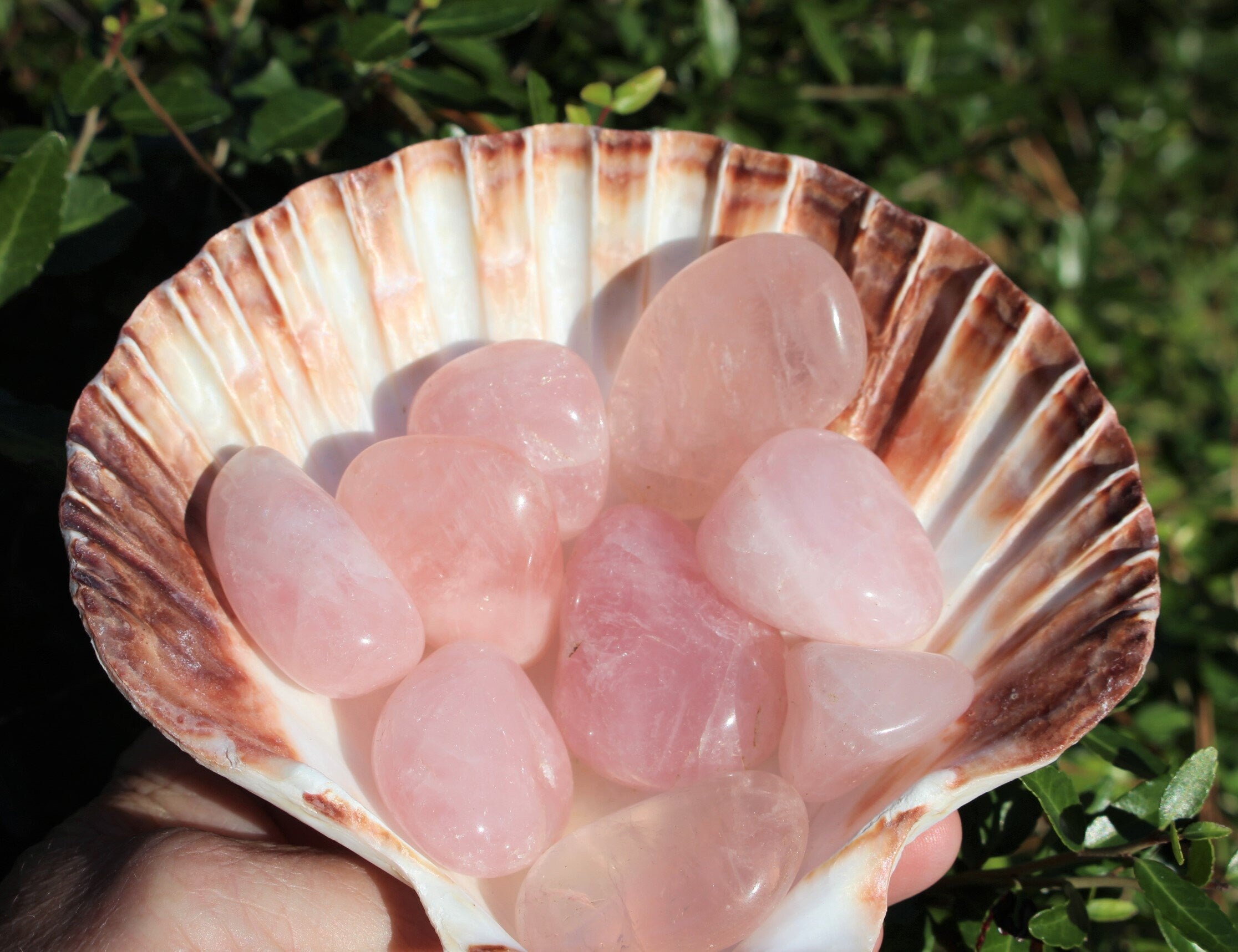 3 Large Rose Quartz Tumbles, Quality Pink Pebbles, Polished Rose Quartz Crystal Gemstone, Jewelry, Home Décor, Love Altar.