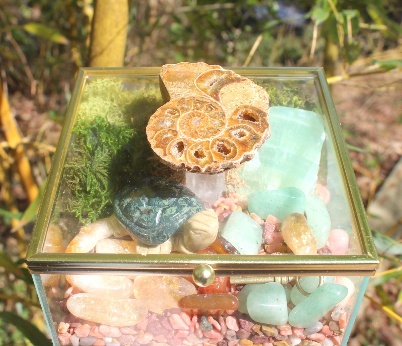 Crystal Garden Terrarium Treasure Box, Nature Relaxation Gift, Fossilized Ammonite, Turtle, Quartz Crystal, filled w/ gemstones.
