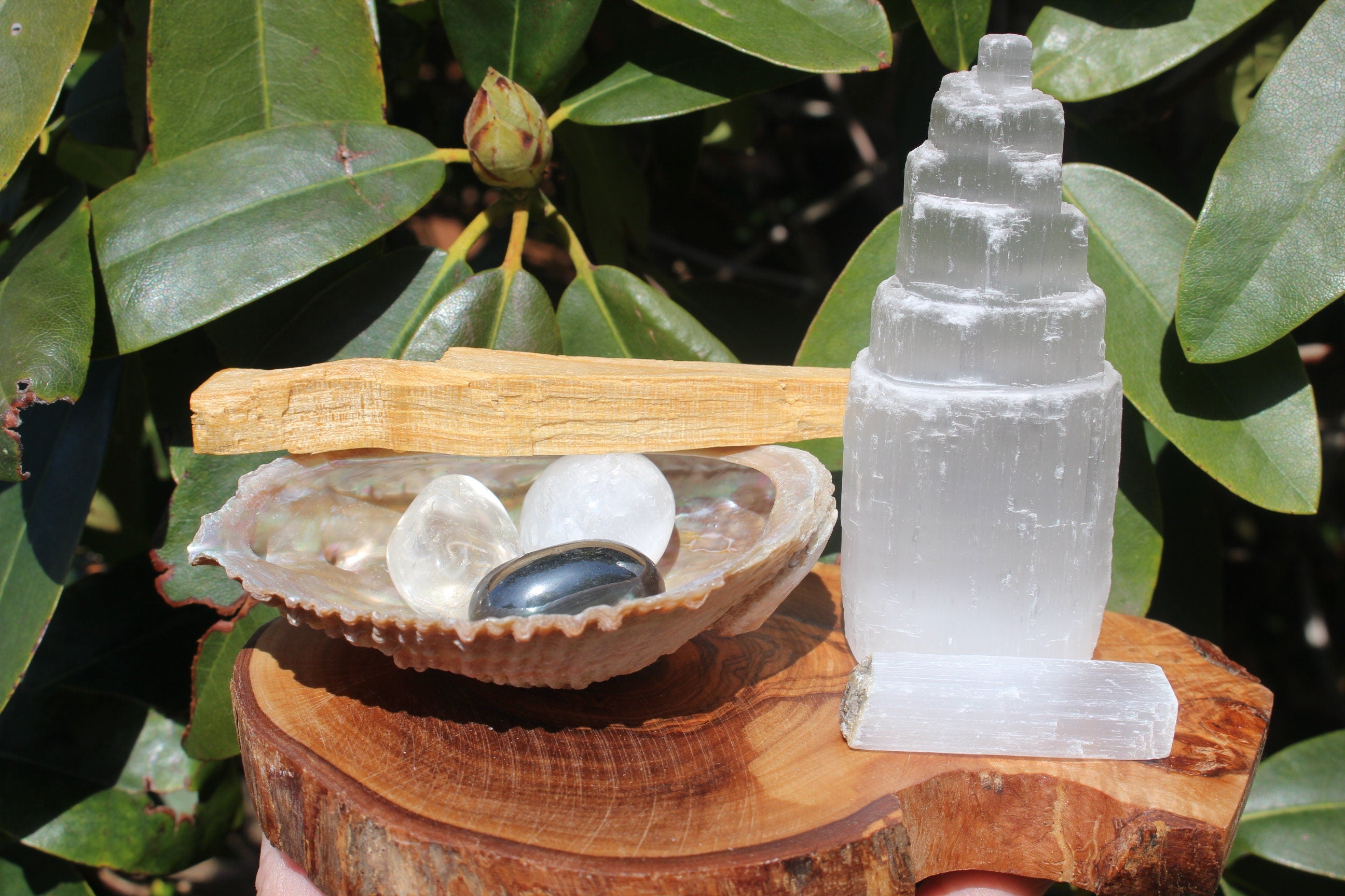 Crystal House Cleansing Bundle, Smudging - Purification, Rituals Altars, Meditation. Abalone Shell, PaoAlto Stick, Selenite Tower Special Buy.