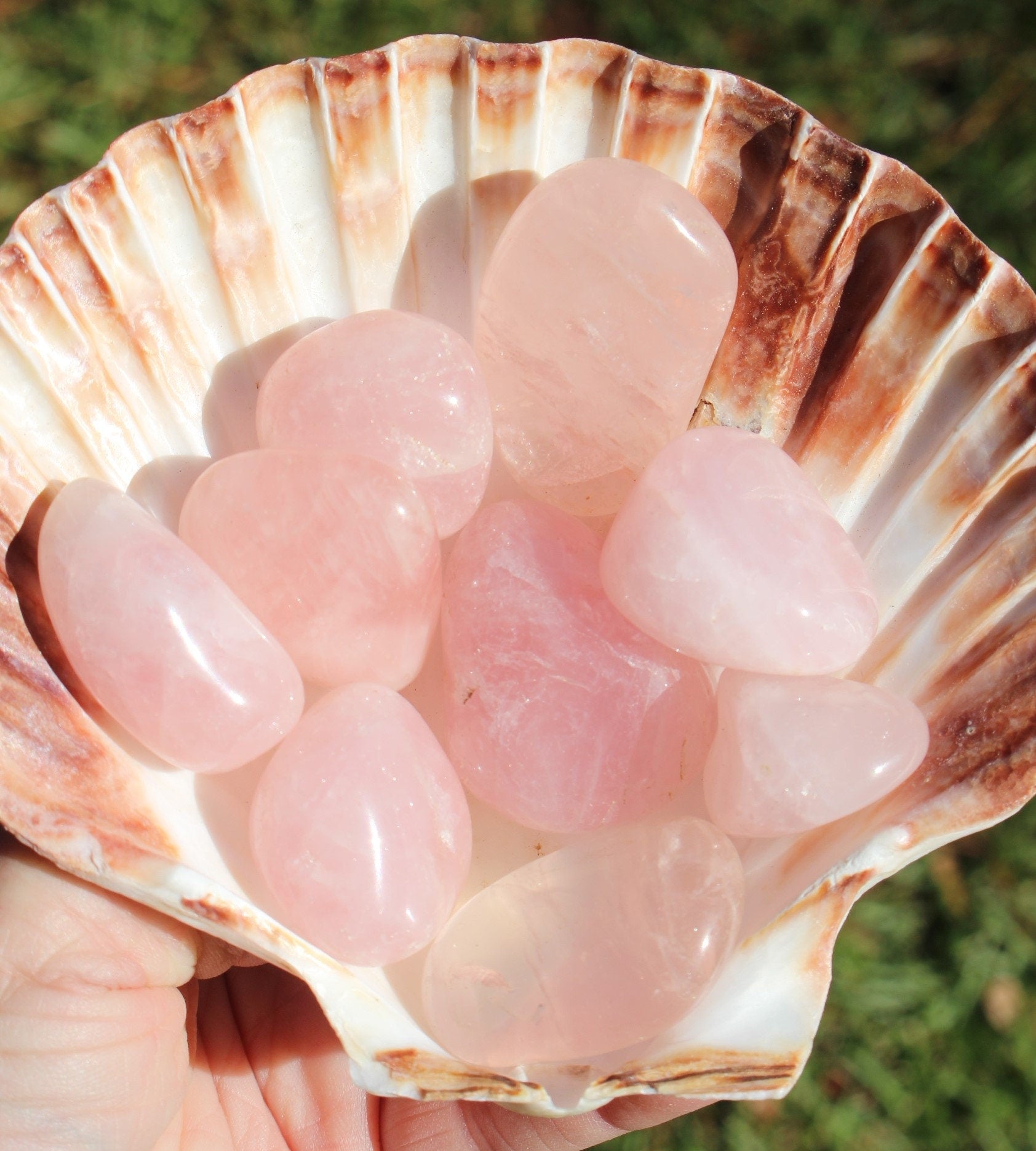 3 Large Rose Quartz Tumbles, Quality Pink Pebbles, Polished Rose Quartz Crystal Gemstone, Jewelry, Home Décor, Love Altar.