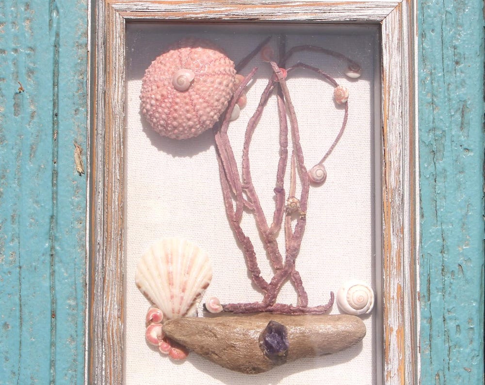 Ocean Themed Shadow Box with Shells, Sea Glass and Sea Fan