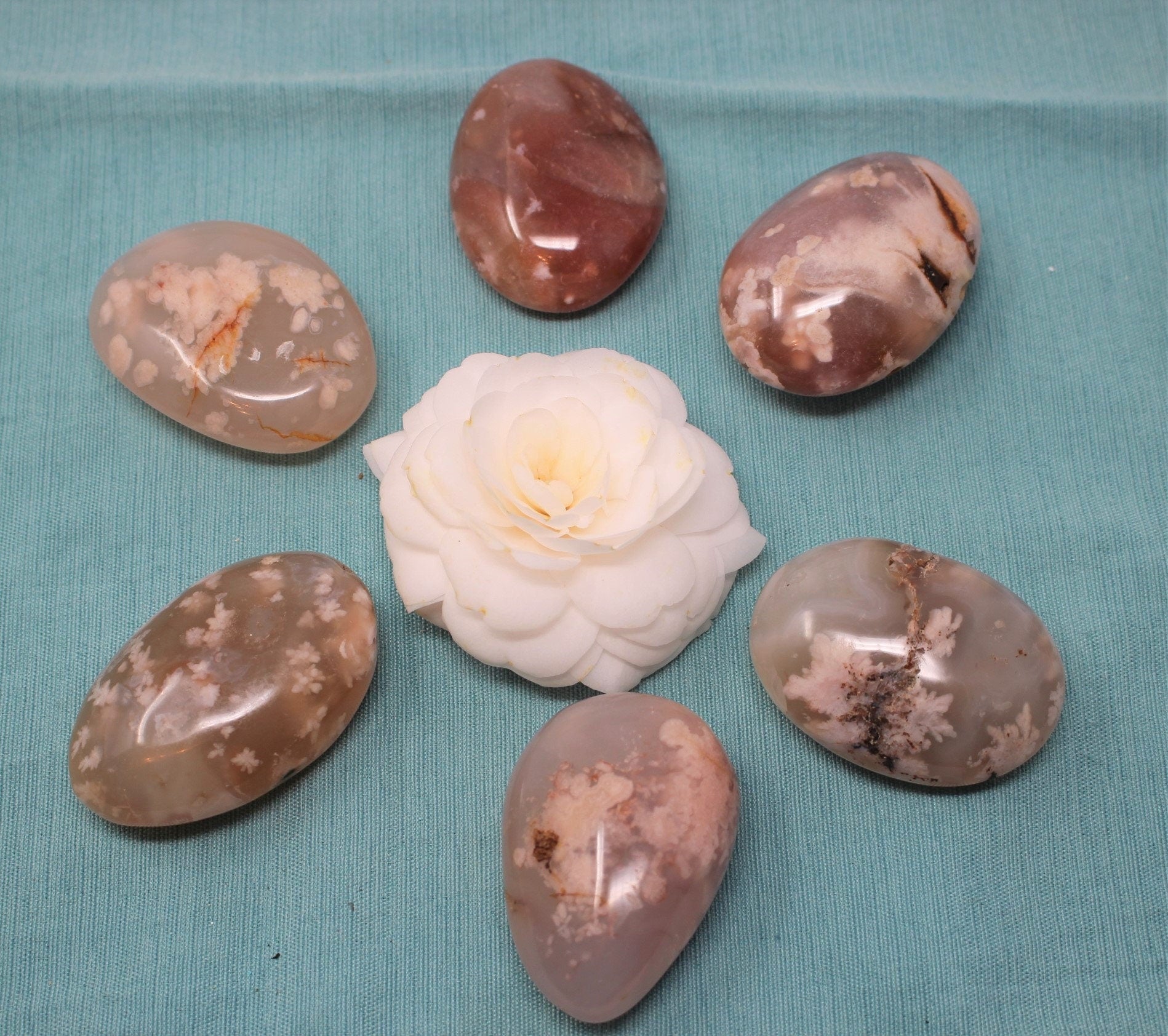 Large Sea Flower Agate Palm Stone with Beautiful Inclusions.
