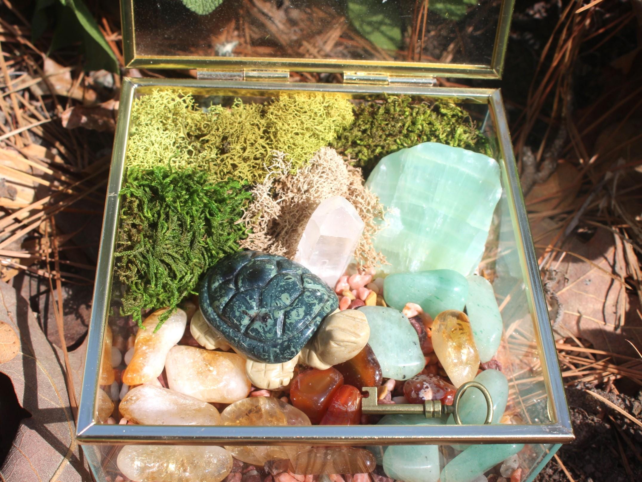 Crystal Garden Terrarium Treasure Box, Nature Relaxation Gift, Fossilized Ammonite,  Turtle, Quartz Crystal, filled w/ gemstones.