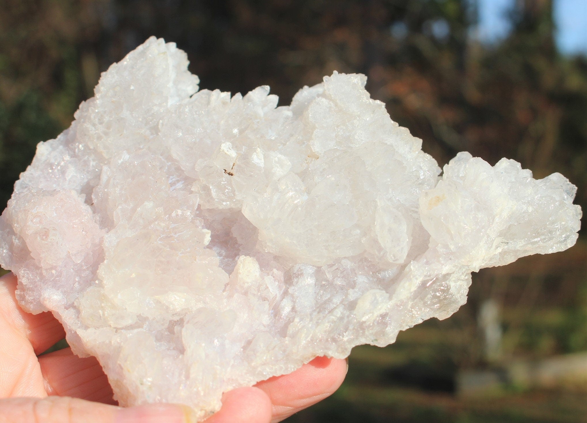 Exceptional Quality Rose Amethyst Crystal Cluster- Raw Natural Gem w/ Watercolor Pink Druzy Quartz, Brazilian Amethyst Collectible!,