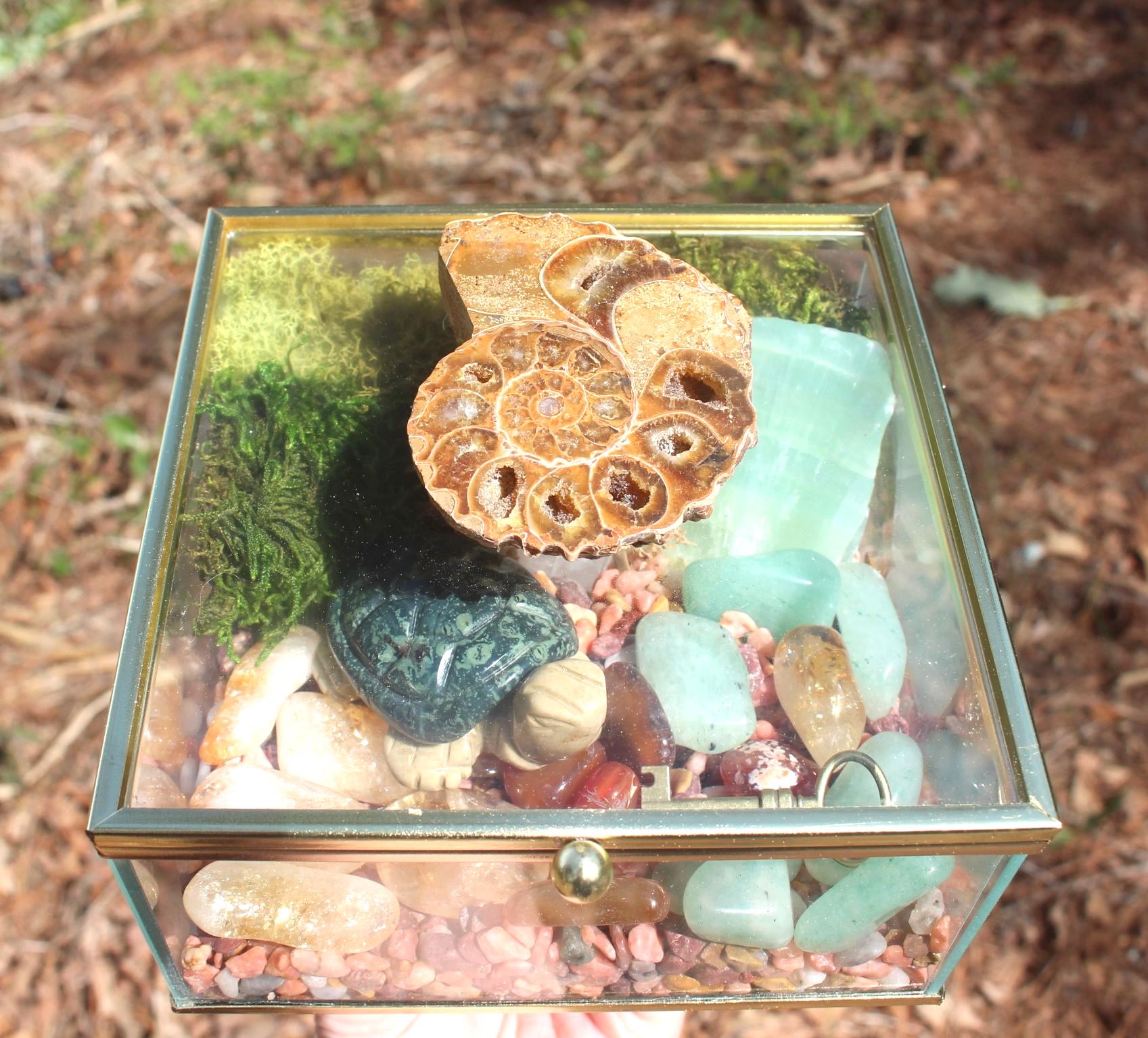 Crystal Garden Terrarium Treasure Box, Nature Relaxation Gift, Fossilized Ammonite,  Turtle, Quartz Crystal, filled w/ gemstones.
