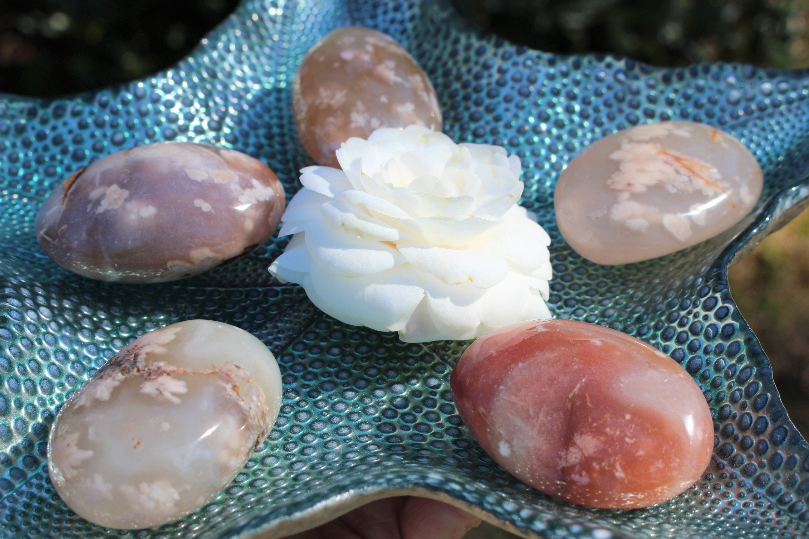 Large Sea Flower Agate Palm Stone with Beautiful Inclusions.