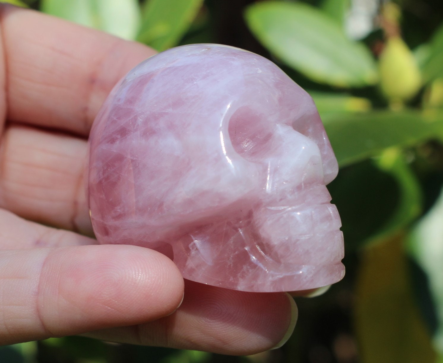 Large Rose Quartz Crystal Skull, Gemmy Pink Color, Nicely Polished, for Altars Ceremony Home Decor