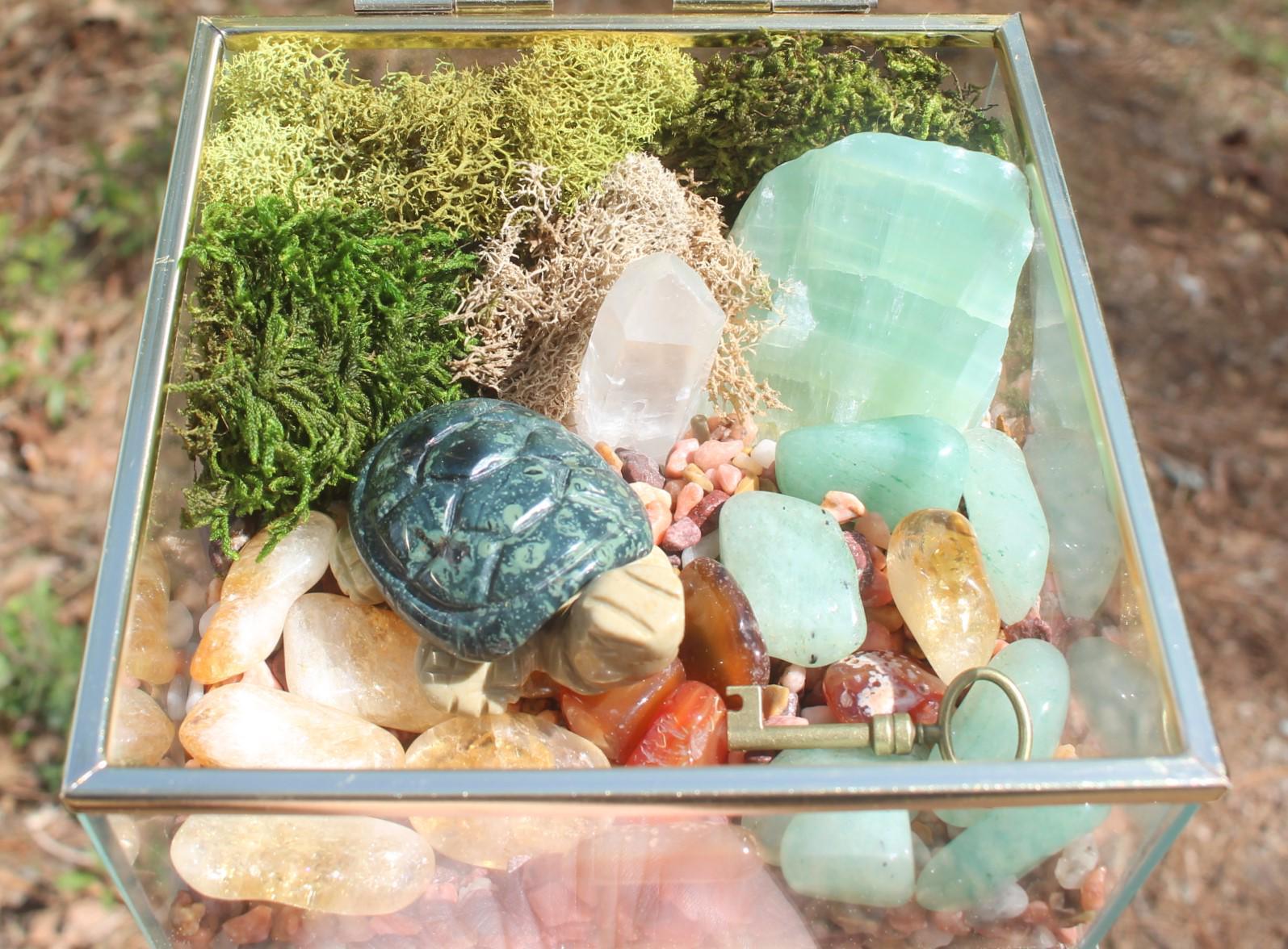 Crystal Garden Terrarium Treasure Box, Nature Relaxation Gift, Fossilized Ammonite,  Turtle, Quartz Crystal, filled w/ gemstones.