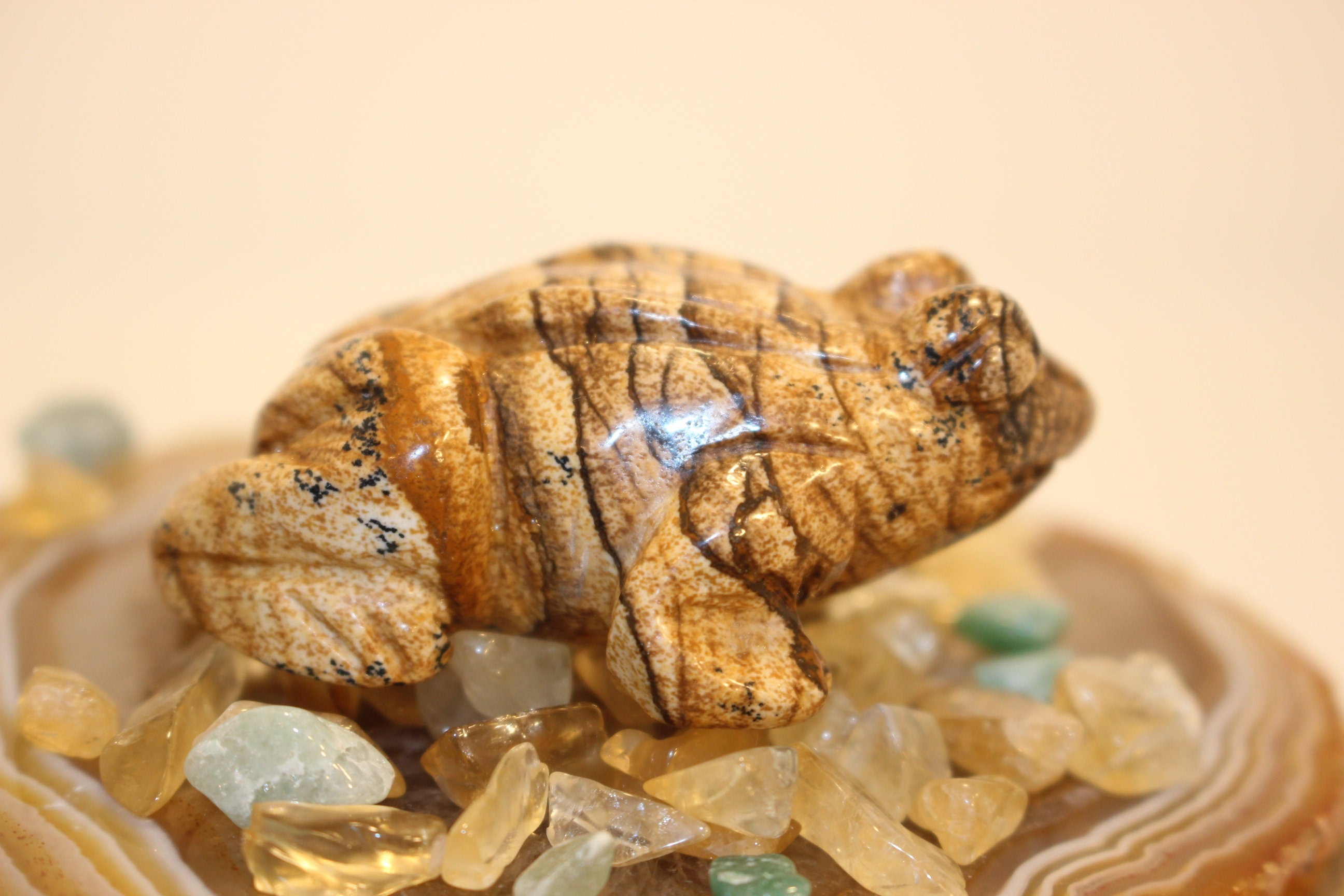 Carved Frog from Desert Jasper Gemstone, Natural Colors - Beautiful Striations,  No Resin-  Solid Crystal, Great Fathers Day Gift.