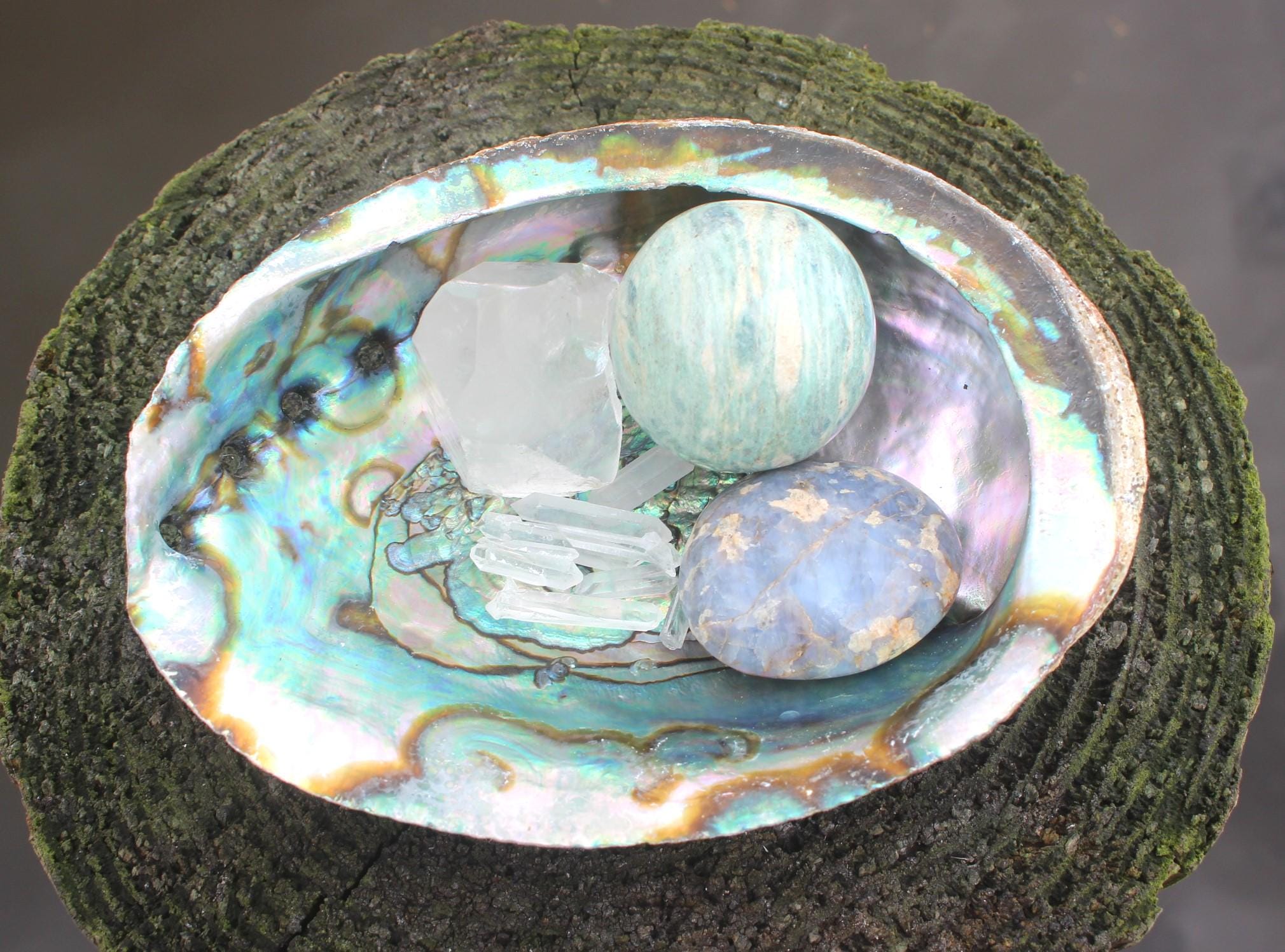 Fully Polished Abalone Shells, AAA Quality Deluxe Smudging Bowl Décor,  Boho Ocean Home  Table Centerpiece, Focal Point in Art Work.