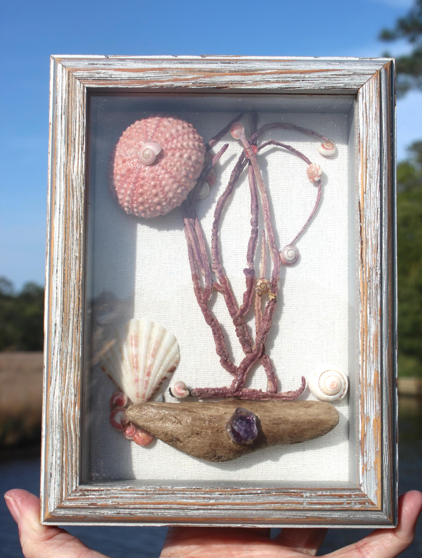 Handmade Ocean Themed Shadow Box, Shell Driftwood Sea Fan Coastal Art.