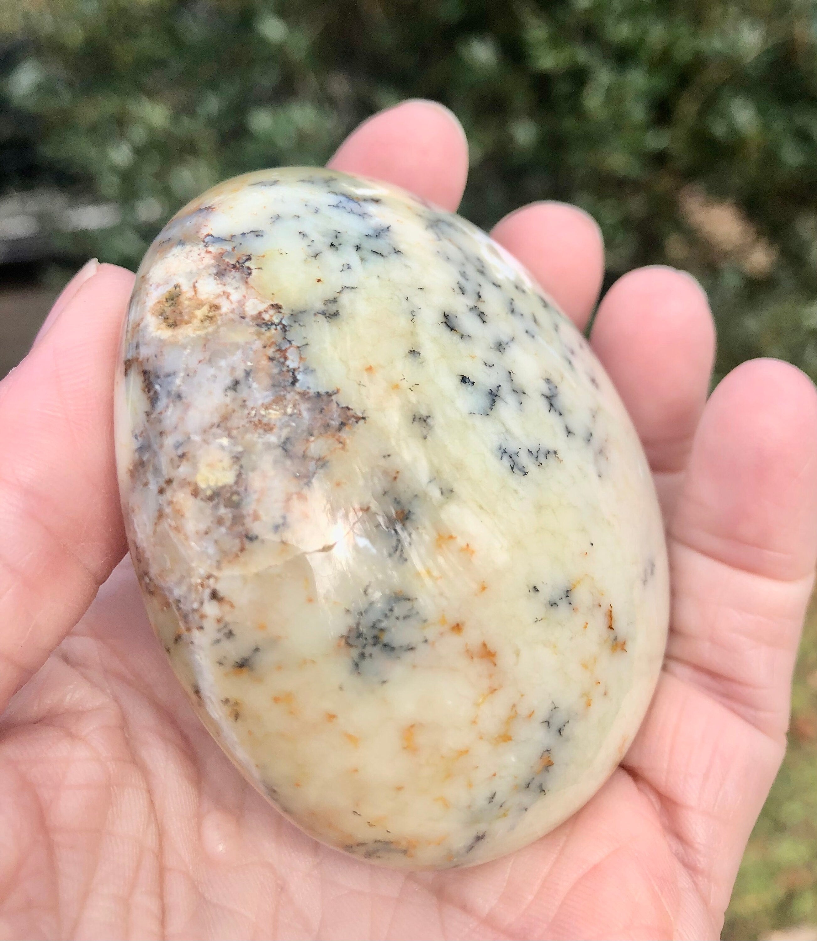 Dendritic Flower Agate Palm Stone,  Meditation Stone, Altars, Collectible Gemstone