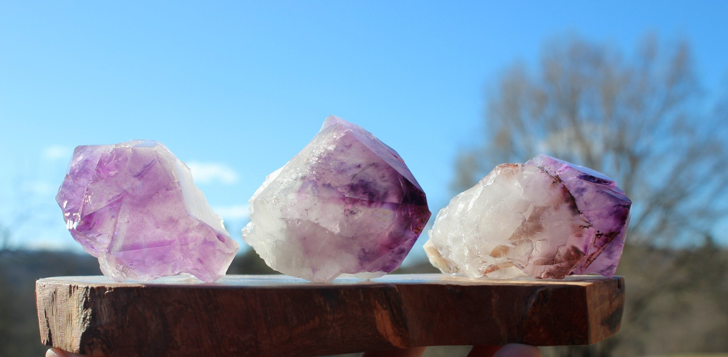 Large Purple Amethyst Points, Large Scepters, Raw Crystal Wand Points, Altars, Ceremonies, Grids, Gemstone Collectibles!