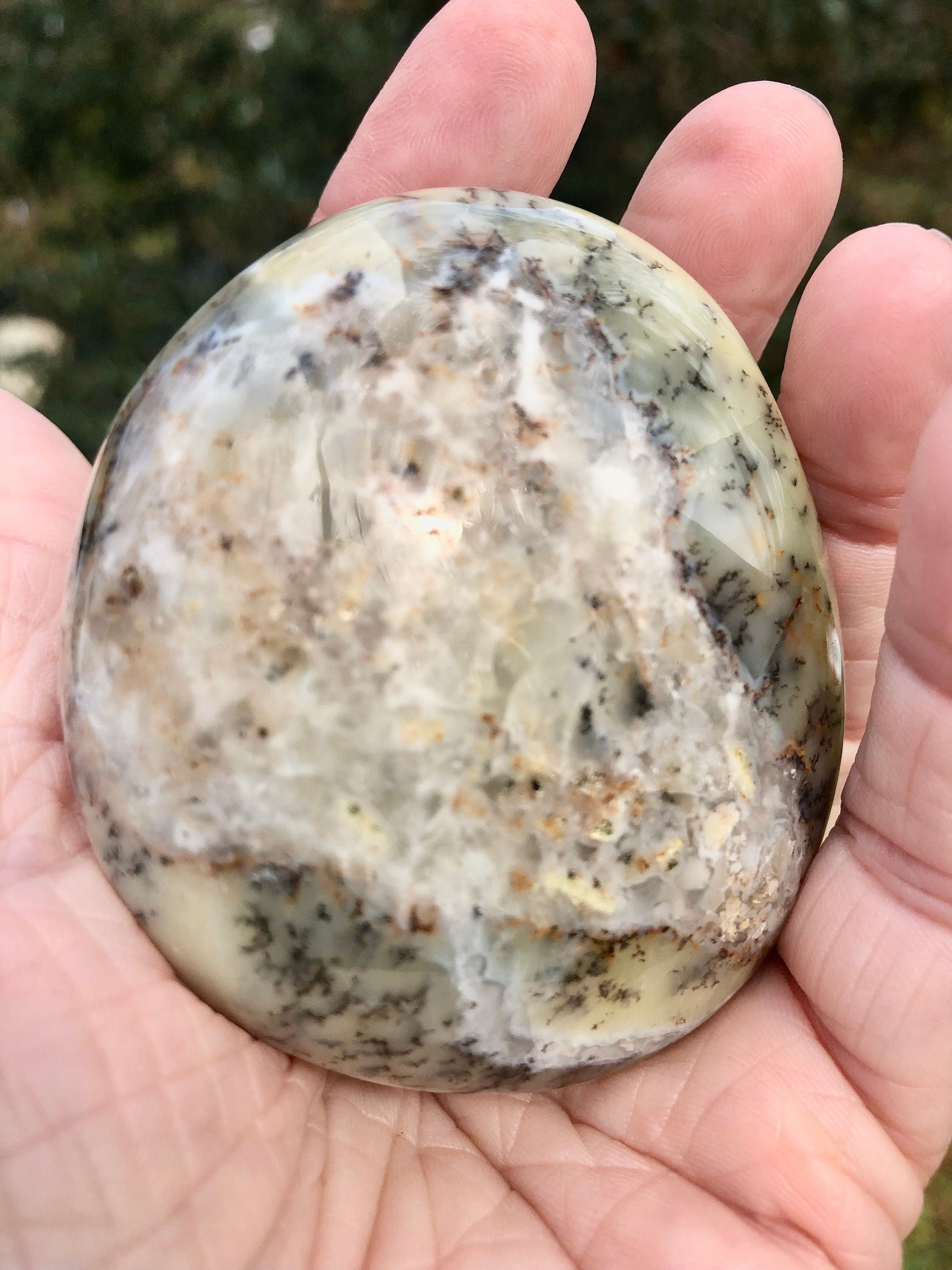 Dendritic Flower Agate Palm Stone,  Meditation Stone, Altars, Collectible Gemstone