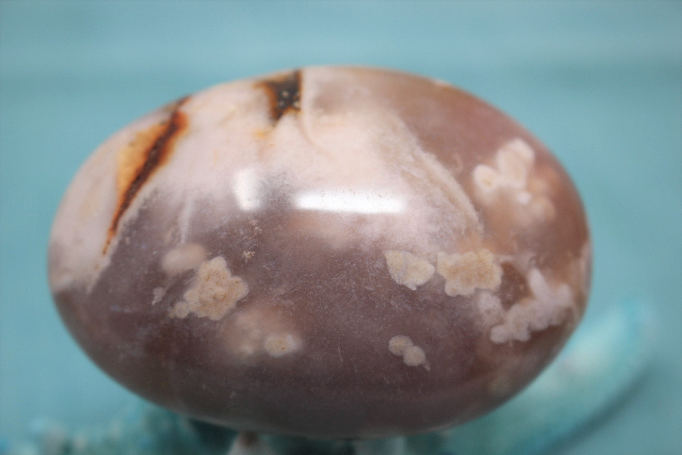 Large Sea Flower Agate Palm Stone with Beautiful Inclusions.