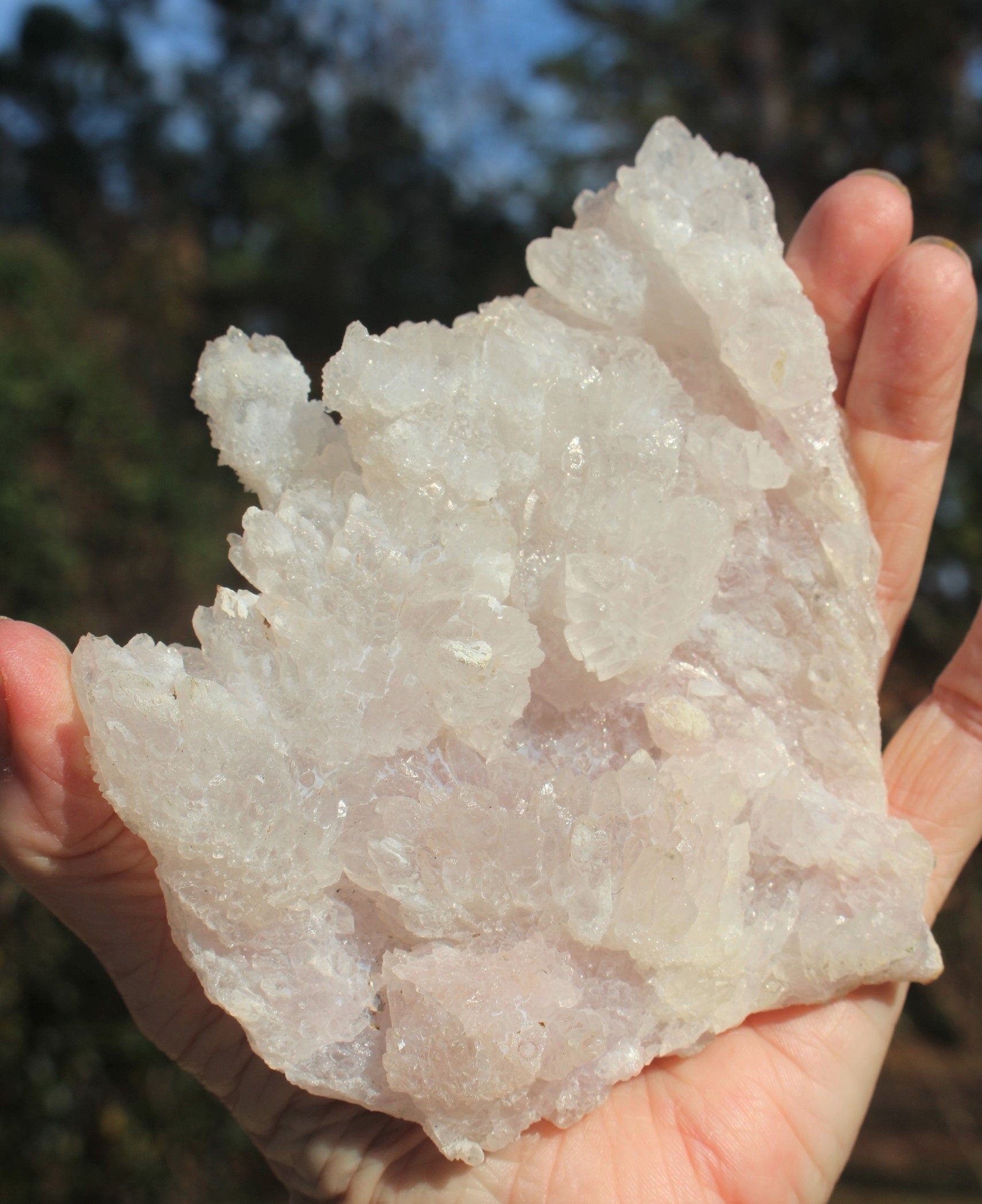 Exceptional Quality Rose Amethyst Crystal Cluster- Raw Natural Gem w/ Watercolor Pink Druzy Quartz, Brazilian Amethyst Collectible!,