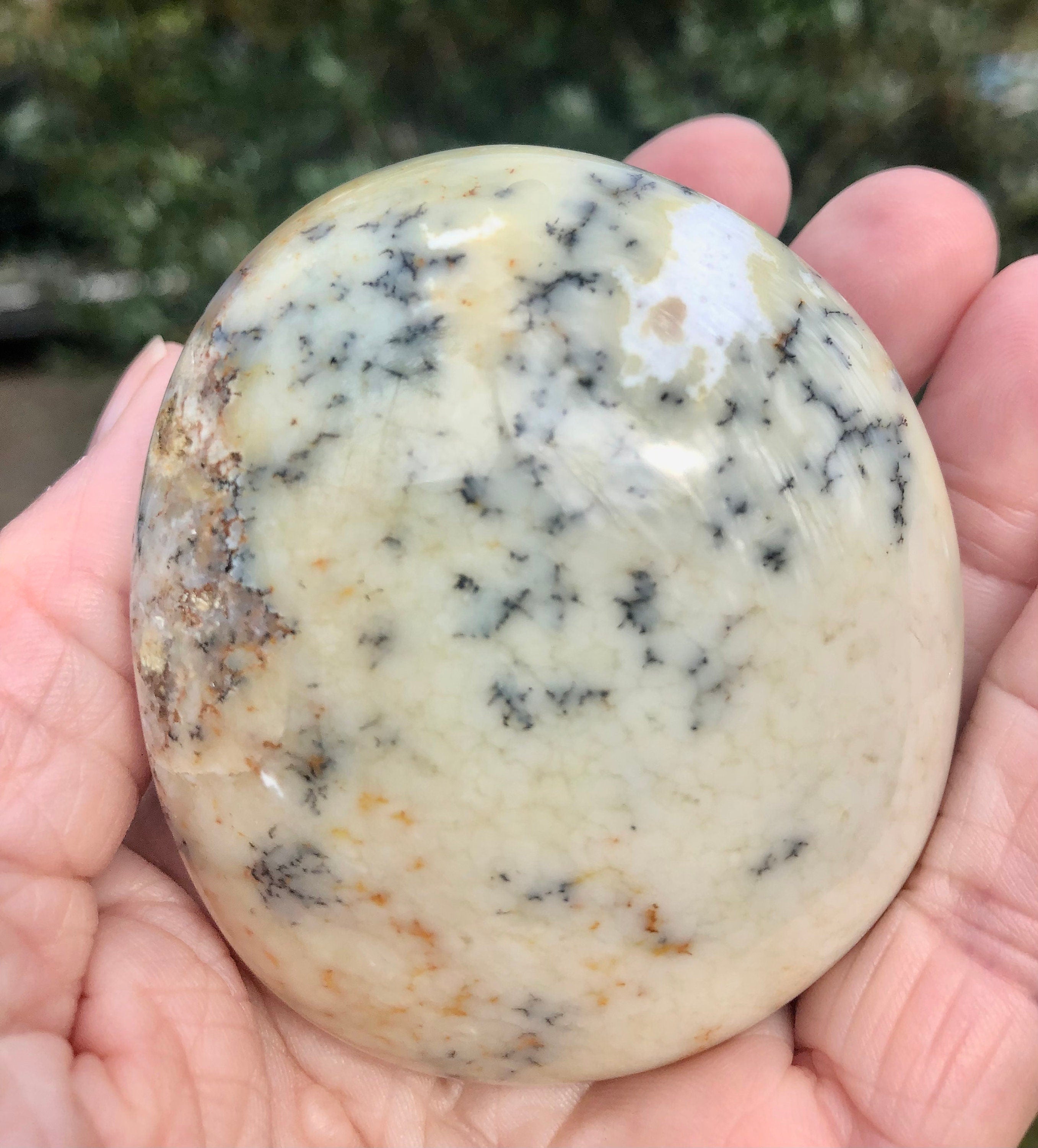 Dendritic Flower Agate Palm Stone,  Meditation Stone, Altars, Collectible Gemstone