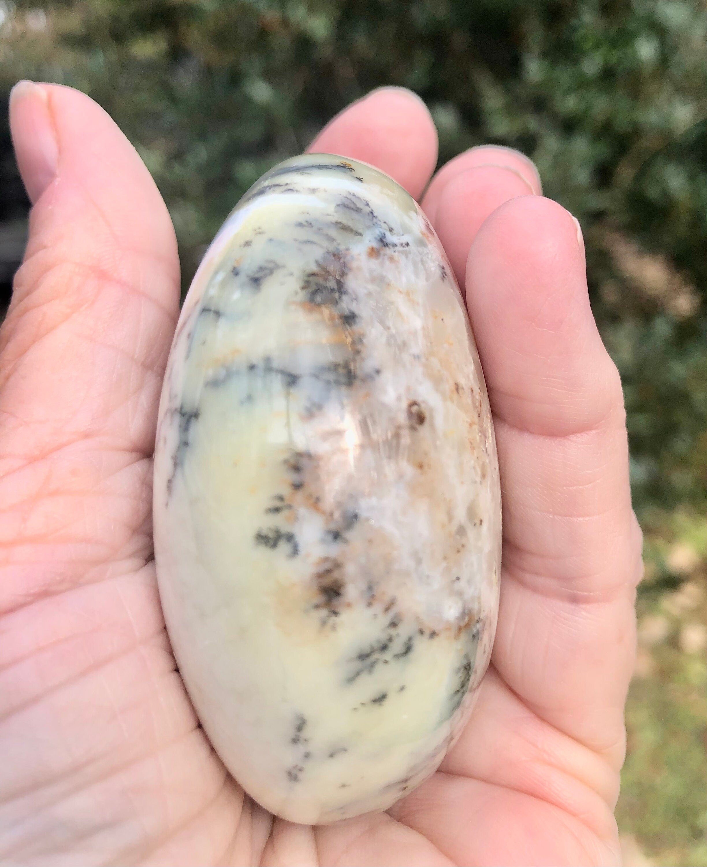 Dendritic Flower Agate Palm Stone,  Meditation Stone, Altars, Collectible Gemstone