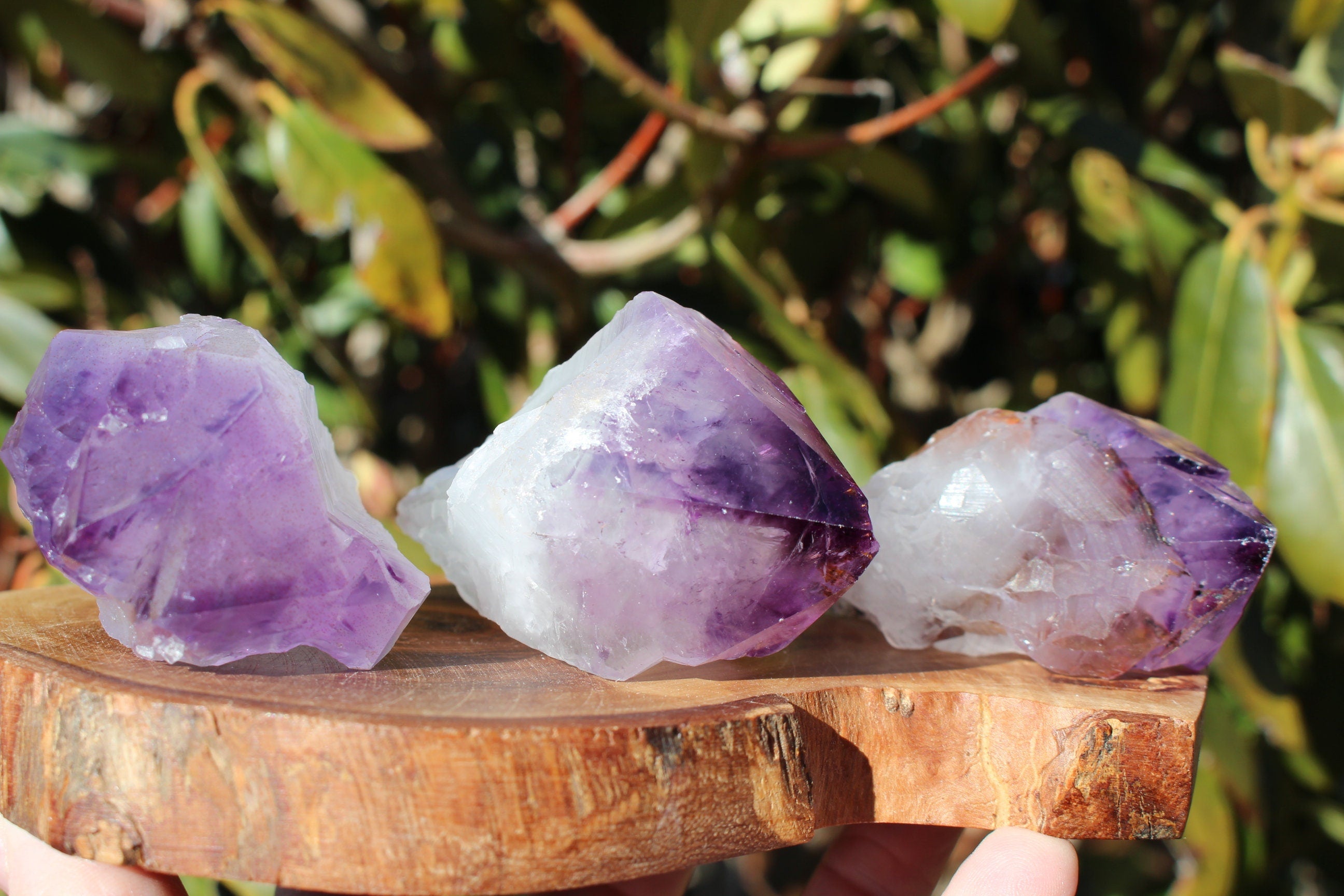Large Purple Amethyst Points, Large Scepters, Raw Crystal Wand Points, Altars, Ceremonies, Grids, Gemstone Collectibles!