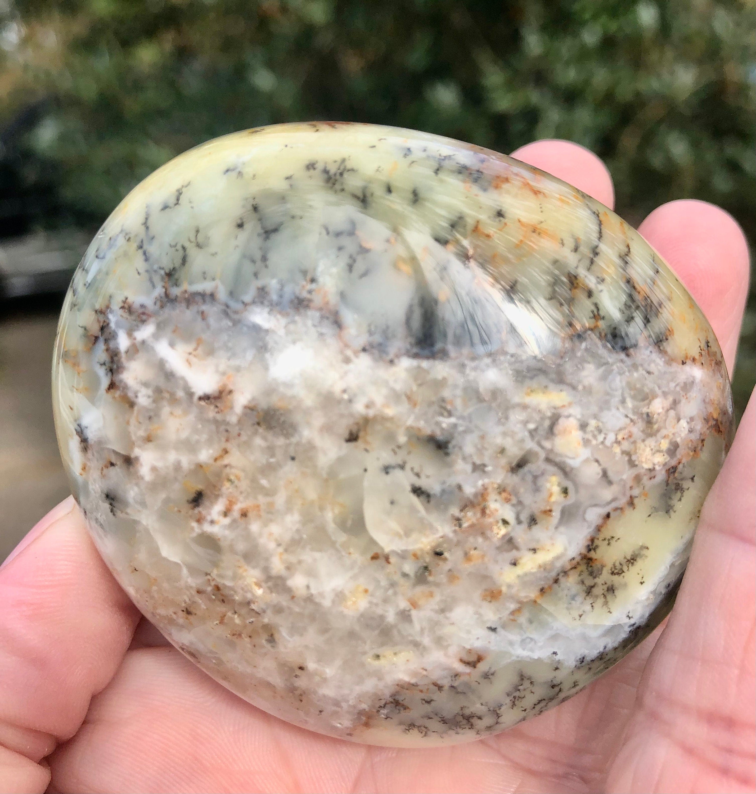 Dendritic Flower Agate Palm Stone,  Meditation Stone, Altars, Collectible Gemstone