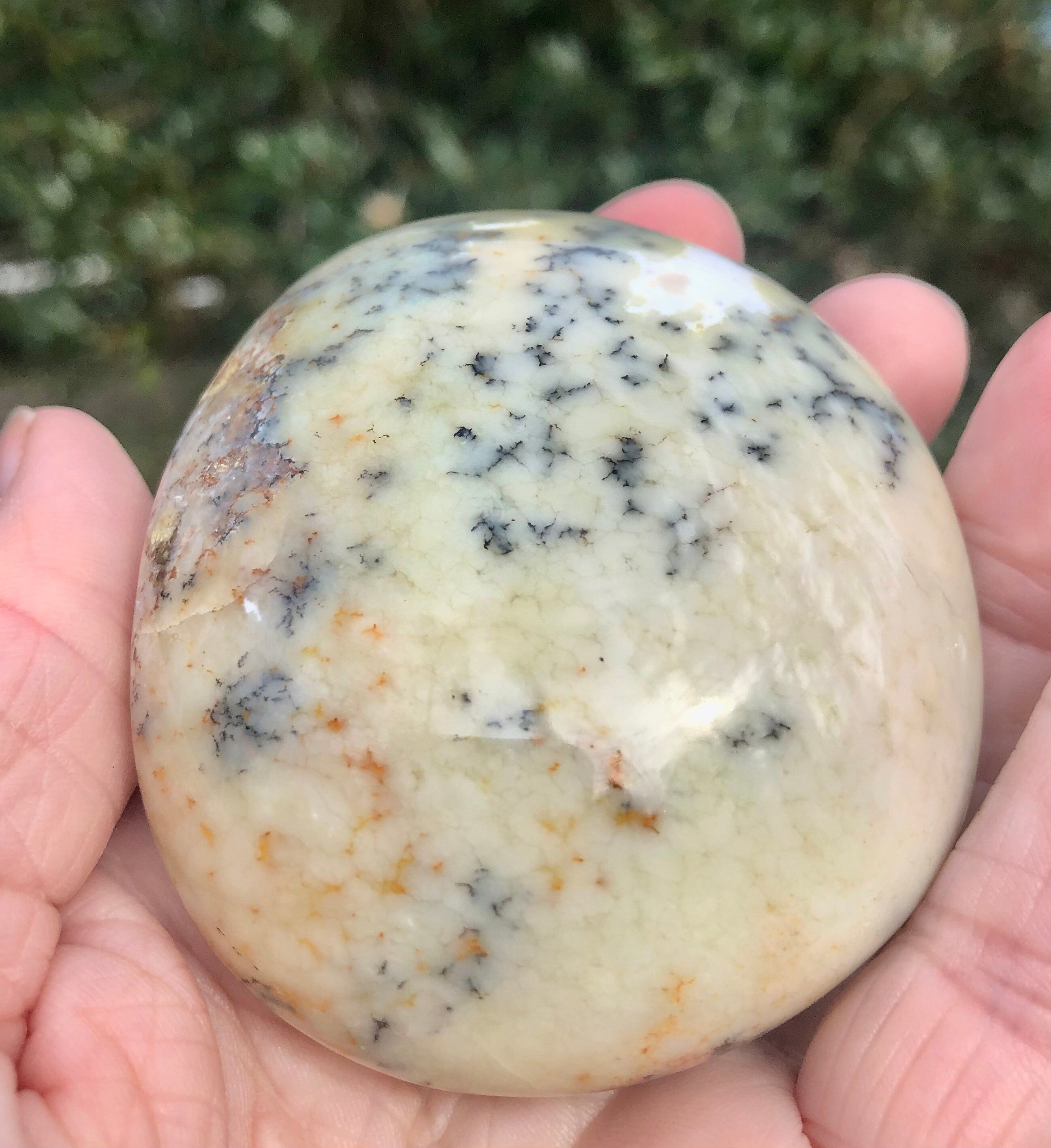 Dendritic Flower Agate Palm Stone,  Meditation Stone, Altars, Collectible Gemstone