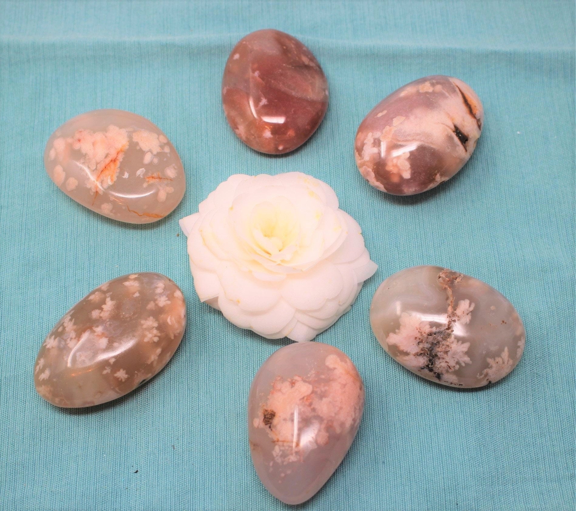 Large Sea Flower Agate Palm Stone with Beautiful Inclusions.