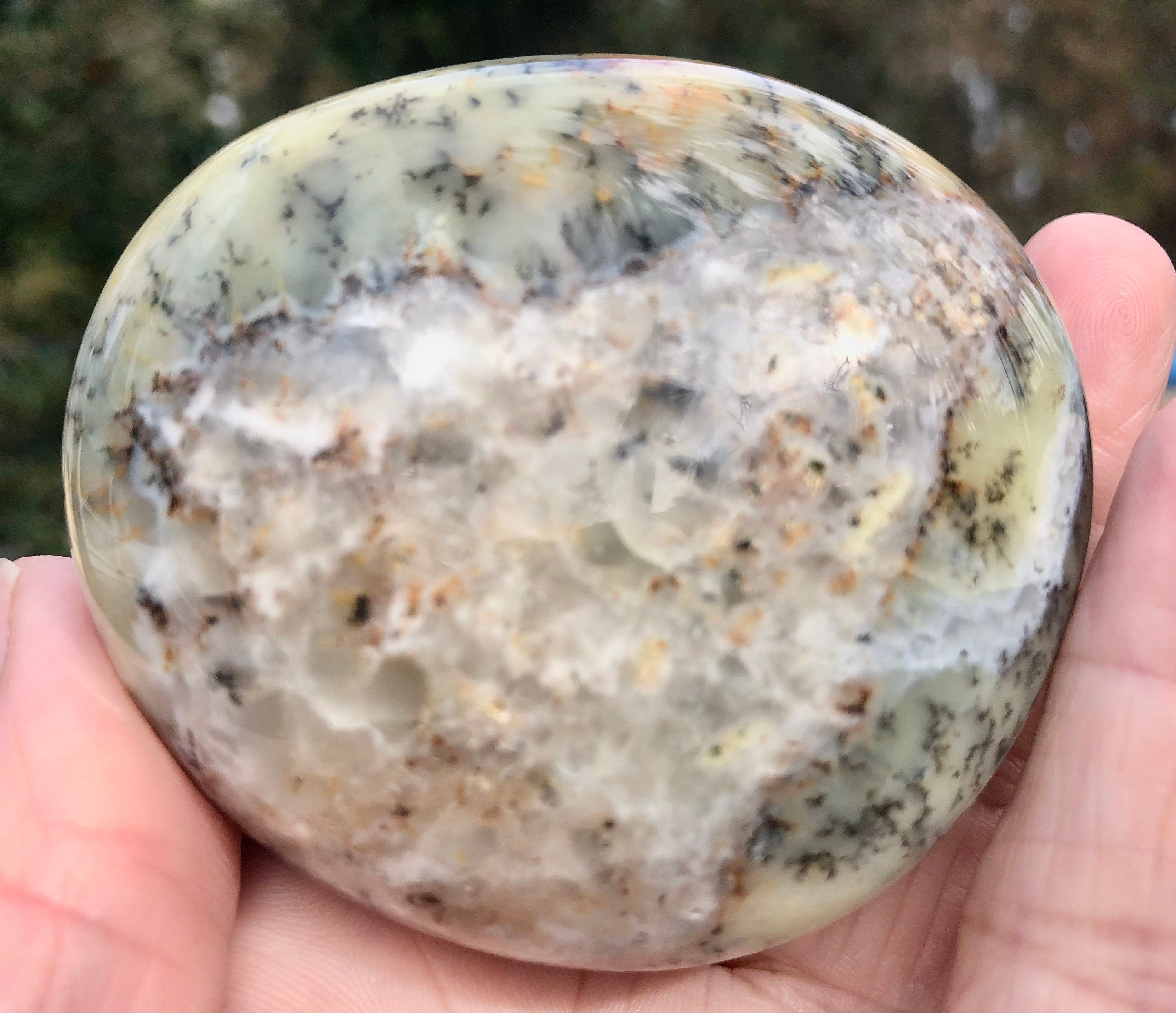 Dendritic Flower Agate Palm Stone,  Meditation Stone, Altars, Collectible Gemstone
